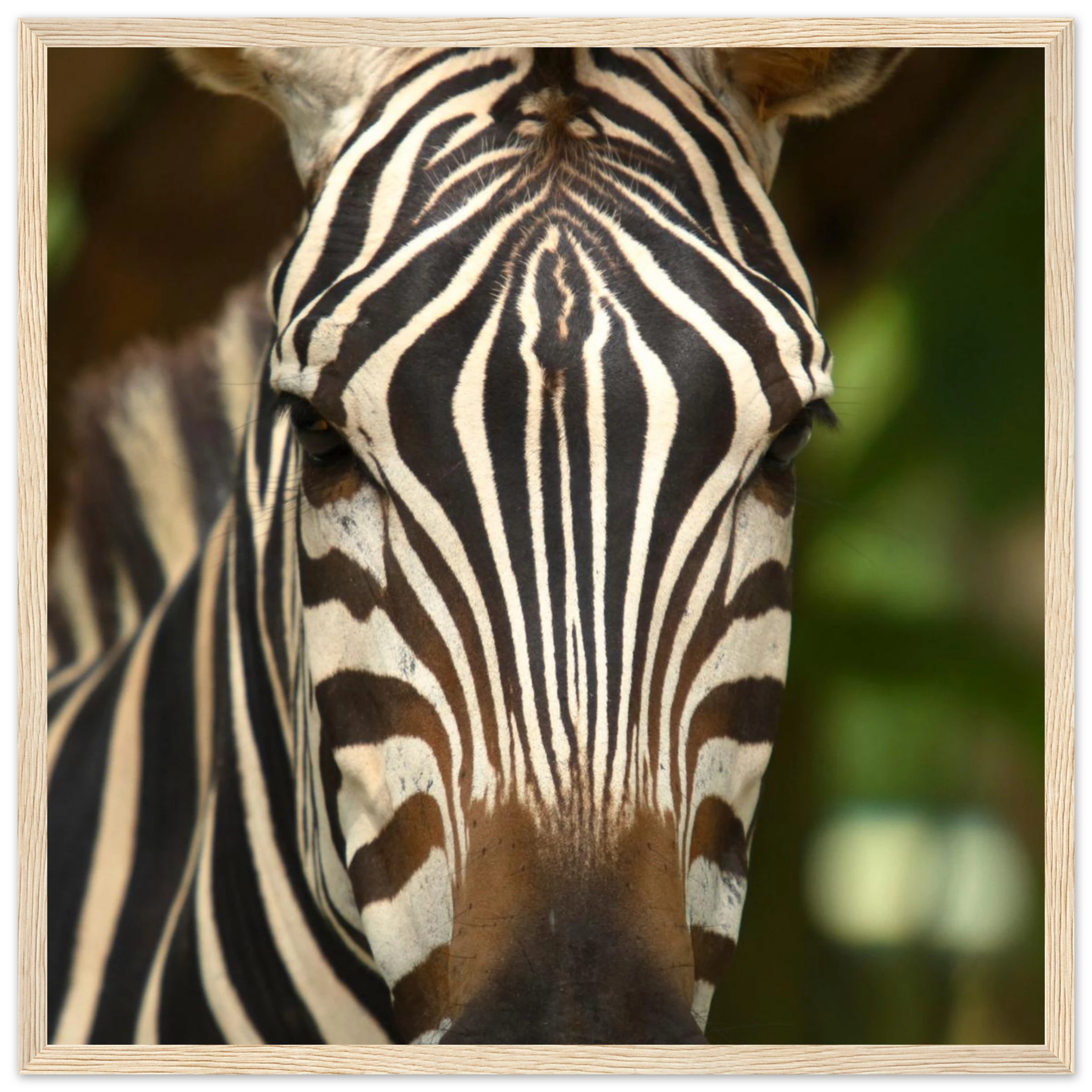 977f404c-5a54-4f8d-b195-7d746d64a5c6