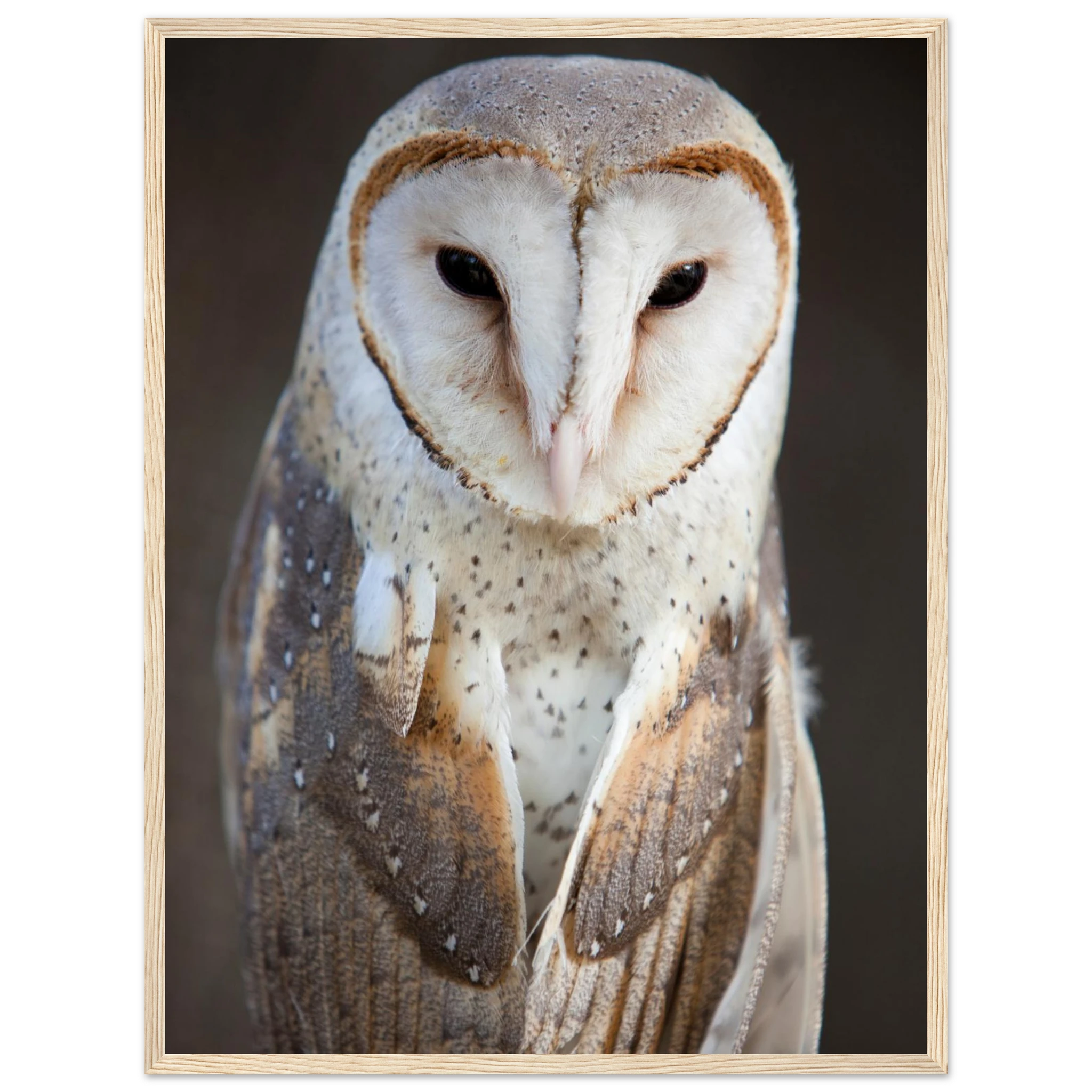 97866ed3-443c-4610-9b32-7c475890b003