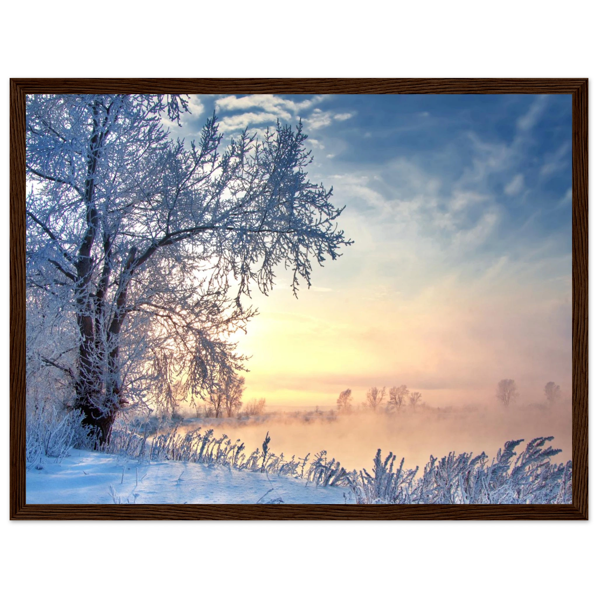 9798eb0d-11bc-4347-a875-77eedc79c4e1