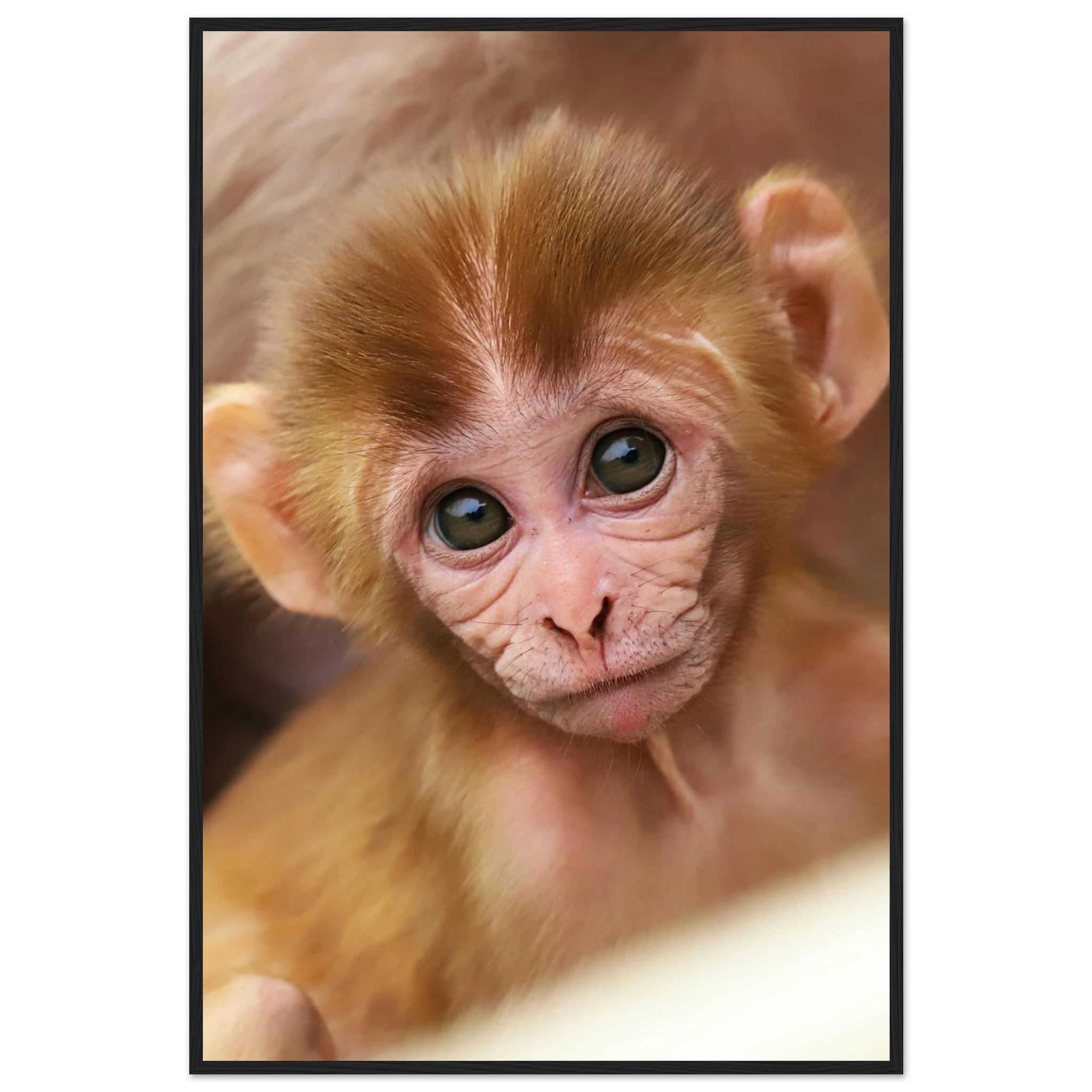 9799c675-06b8-4e04-ae1f-8924fcf1069f