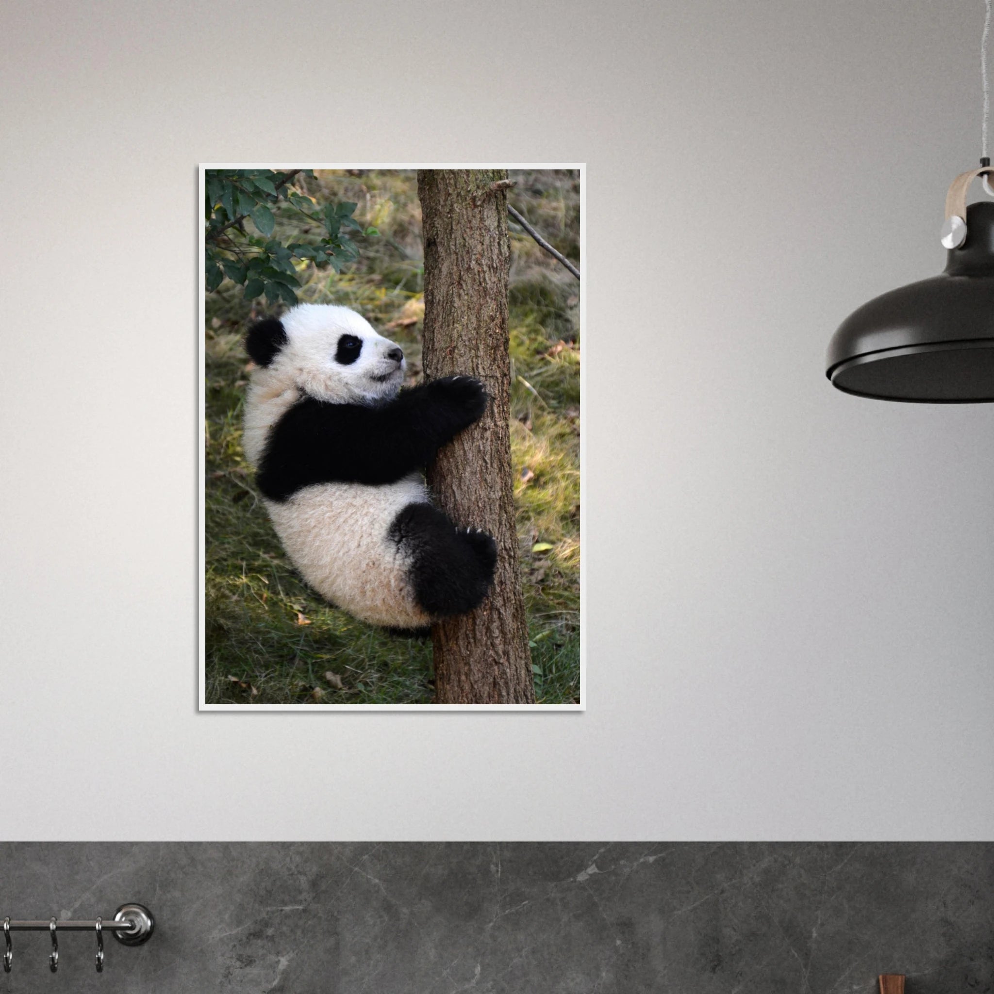 97a2a6fd-c328-4127-bcd1-bb6d77b834f9