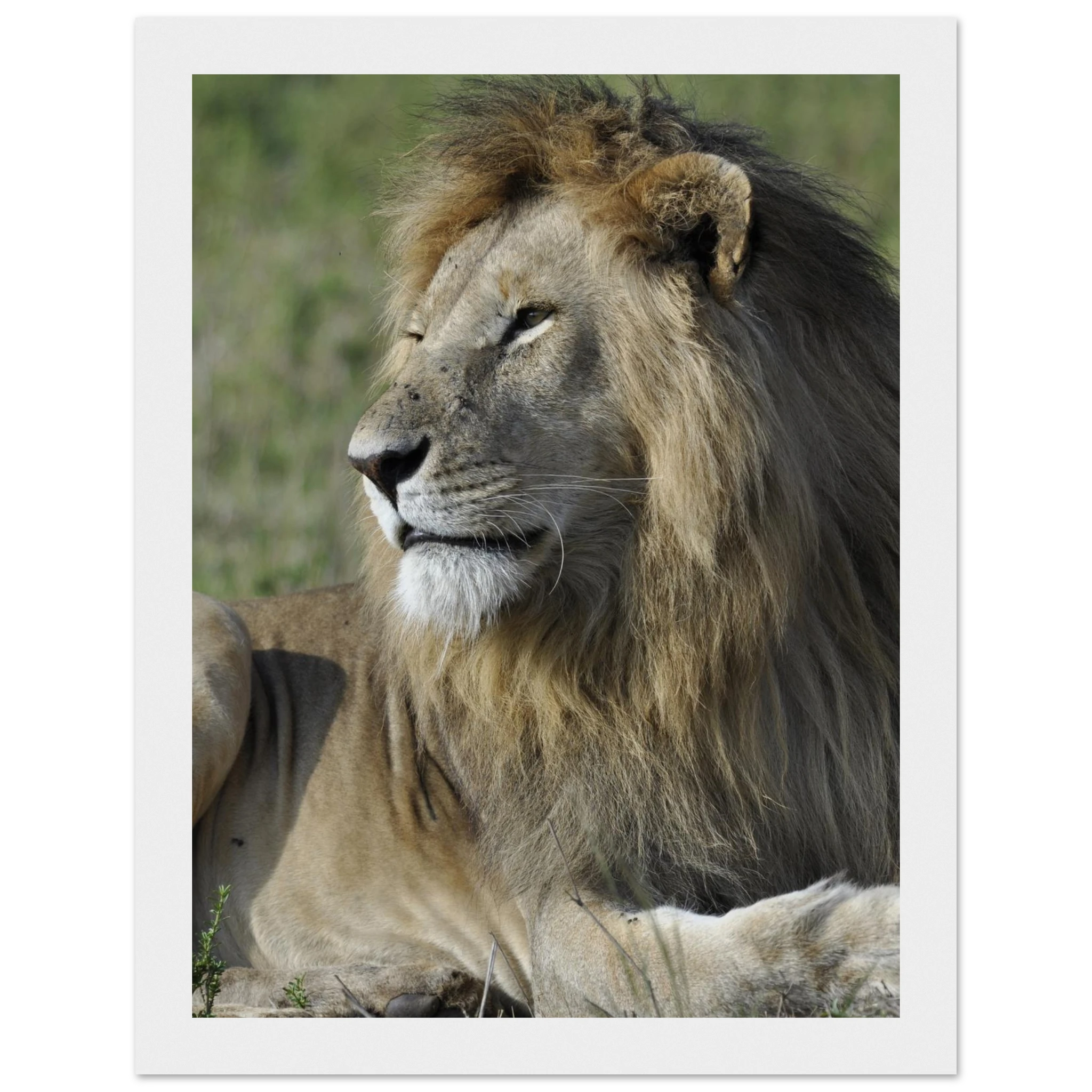 97a9437a-4310-45ba-8bb3-8c654ad03762