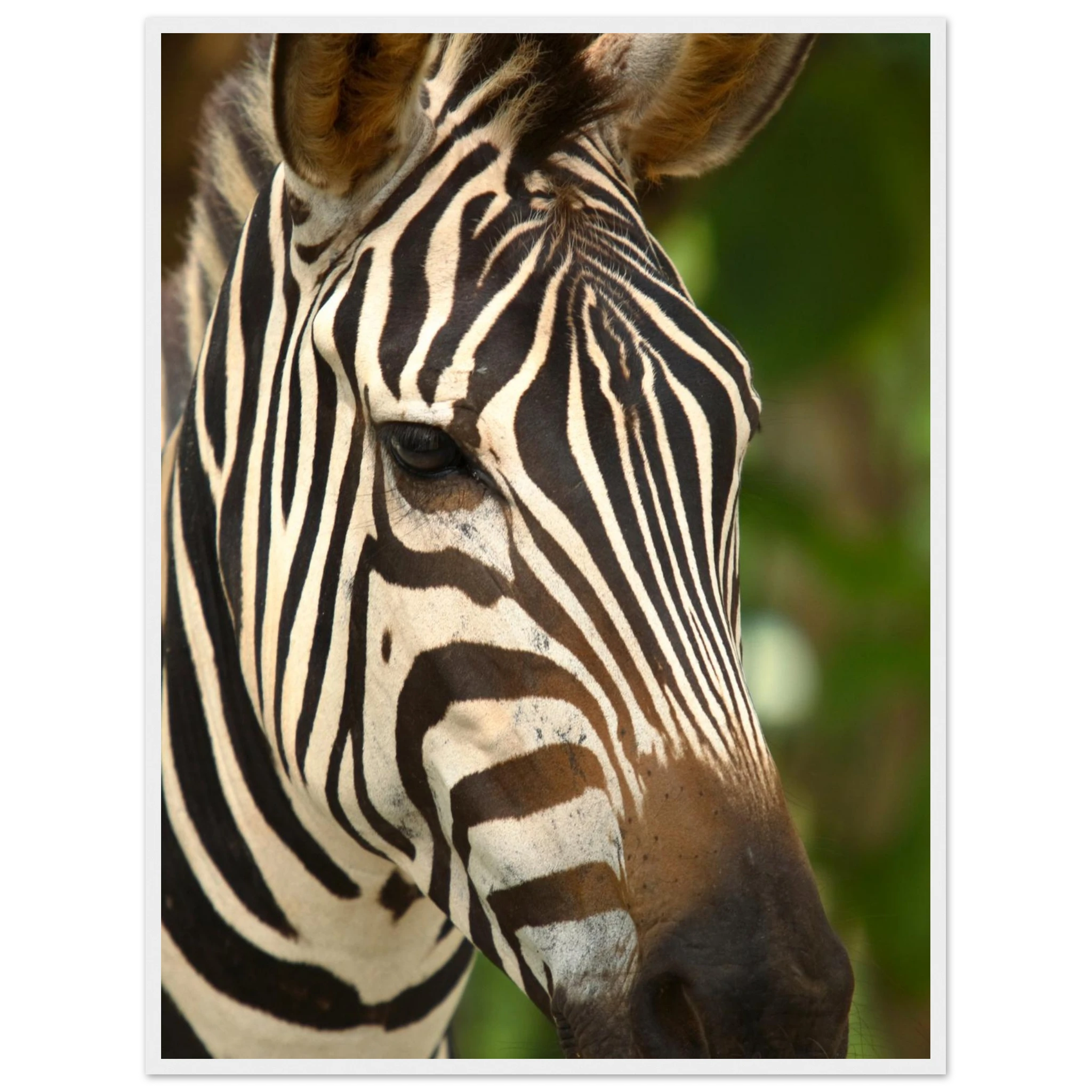 97b01235-c3dc-4054-a69c-fa7ed4b4706f