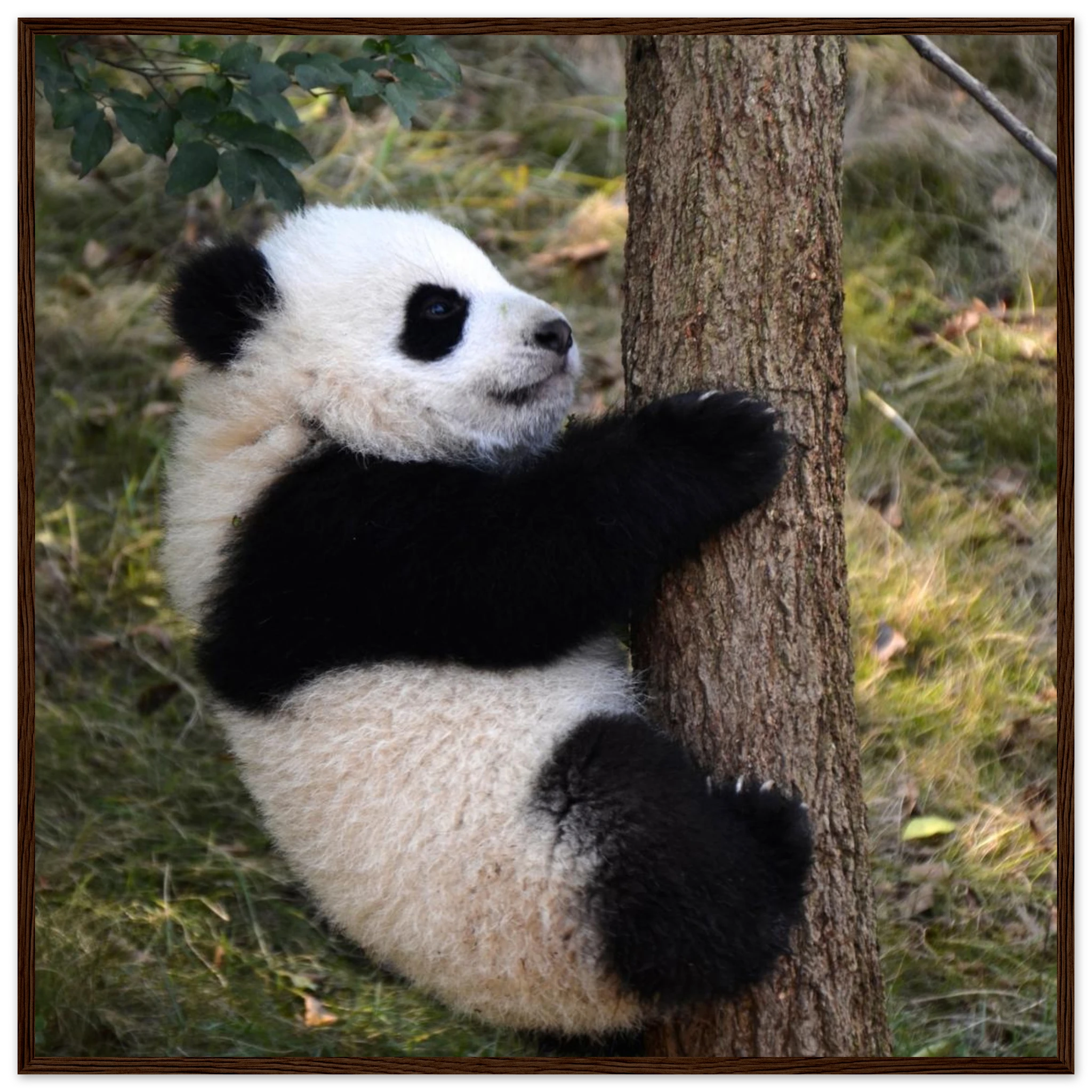 97b2563f-efad-48b0-b452-80fb31b46506