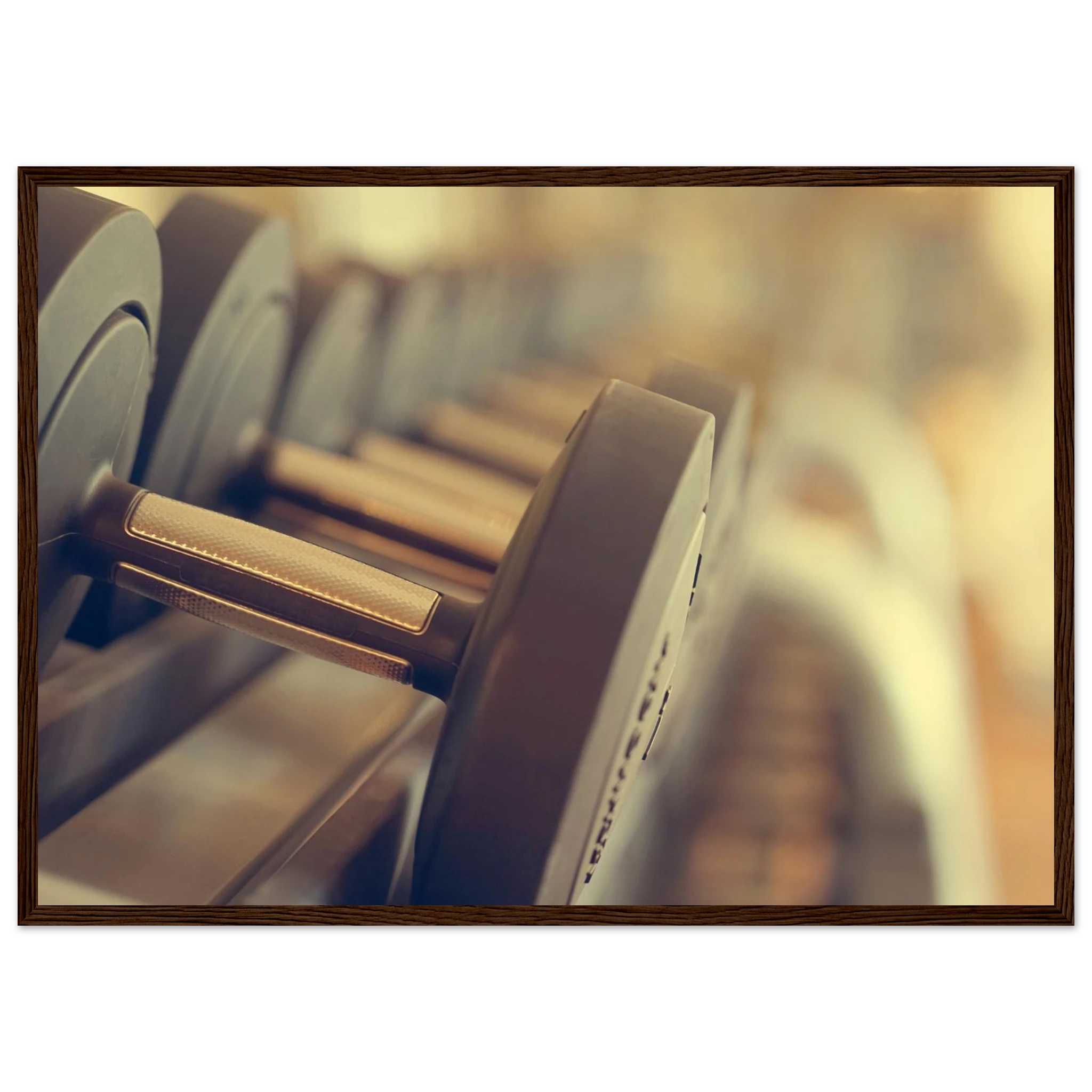 97d4f353-ba07-4cb3-a6a1-552a7a40ab02