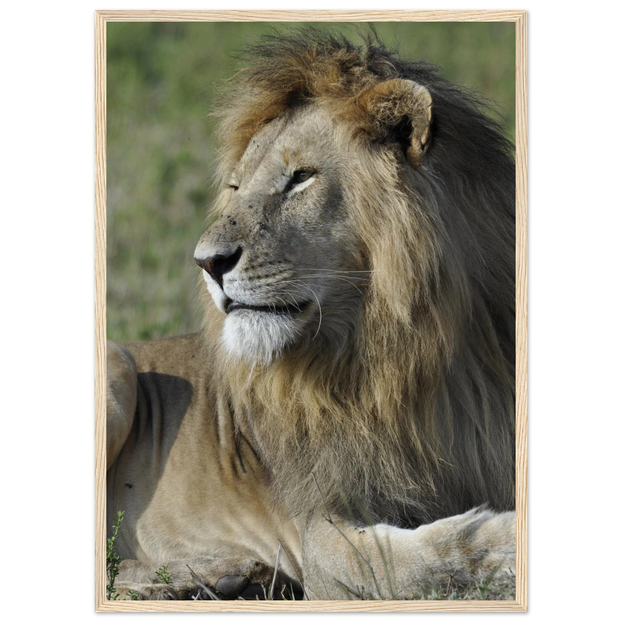 97e7fdf0-4041-4596-96df-b8a75216d498