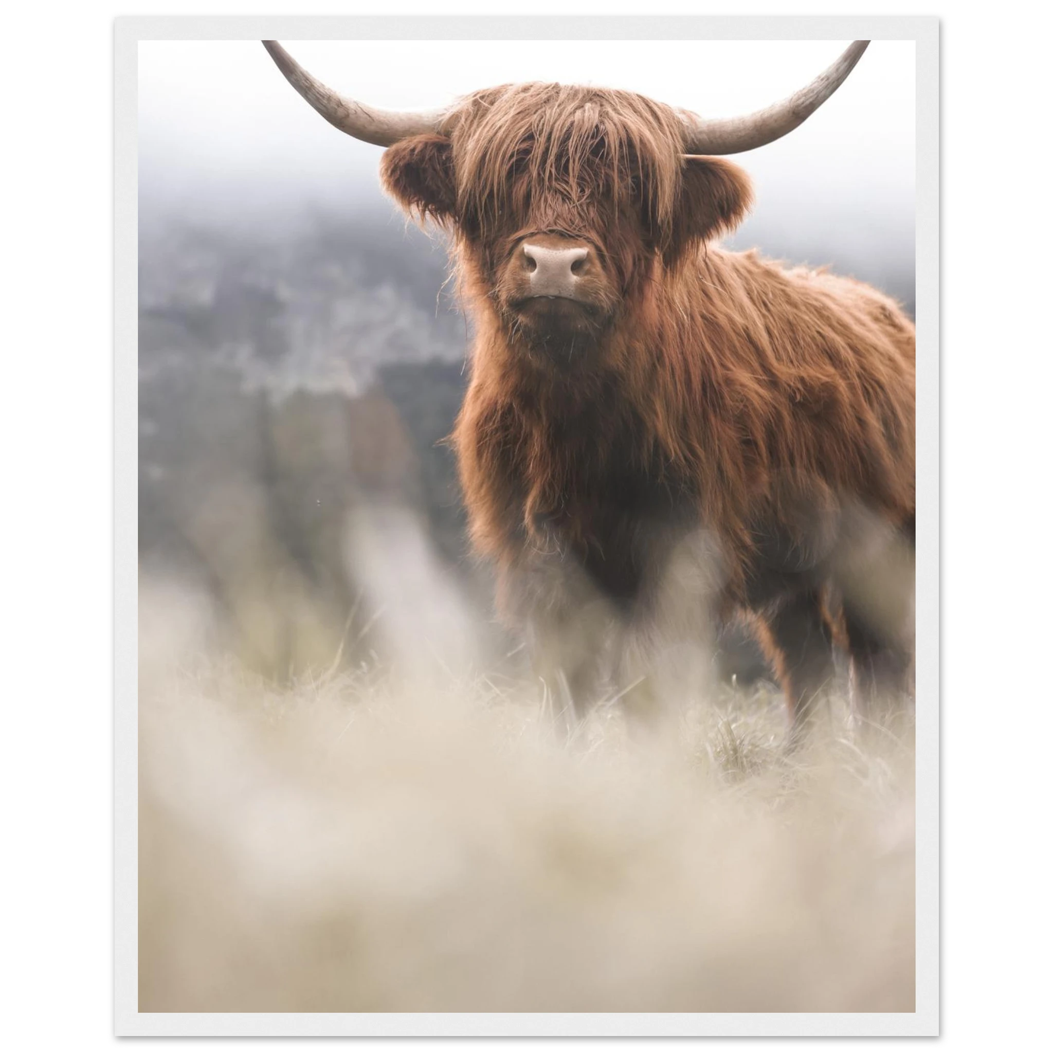 97fb868a-df83-4c44-8ea6-52f0007c7d1a