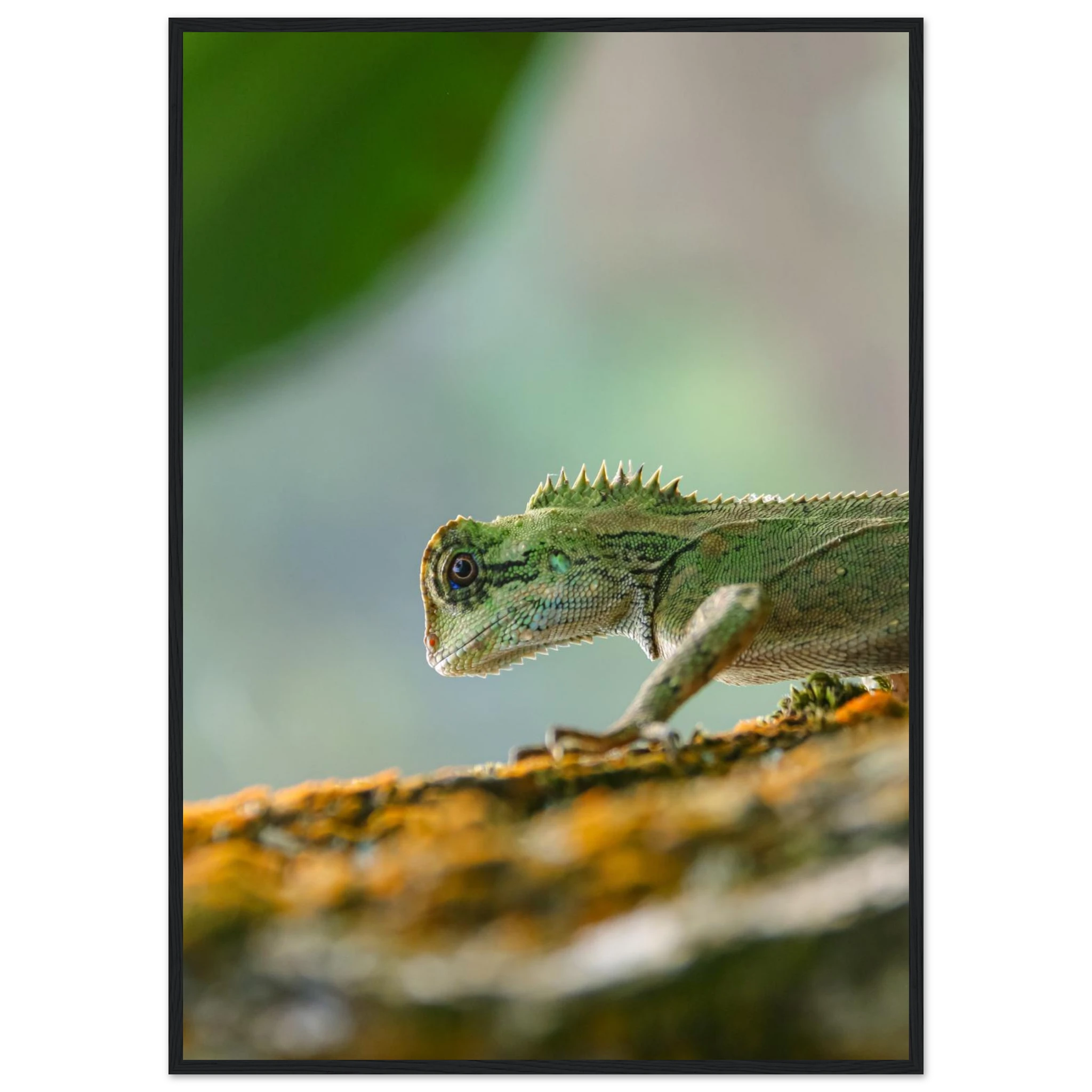 98038152-cdc4-47f3-af5a-d98fd3598af1