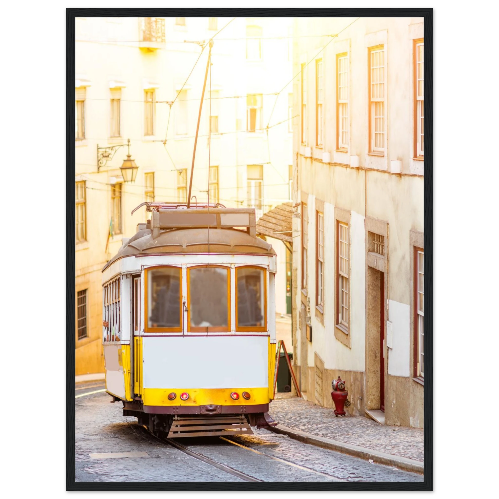 98780ae4-8b09-40d5-92b9-2be376407225