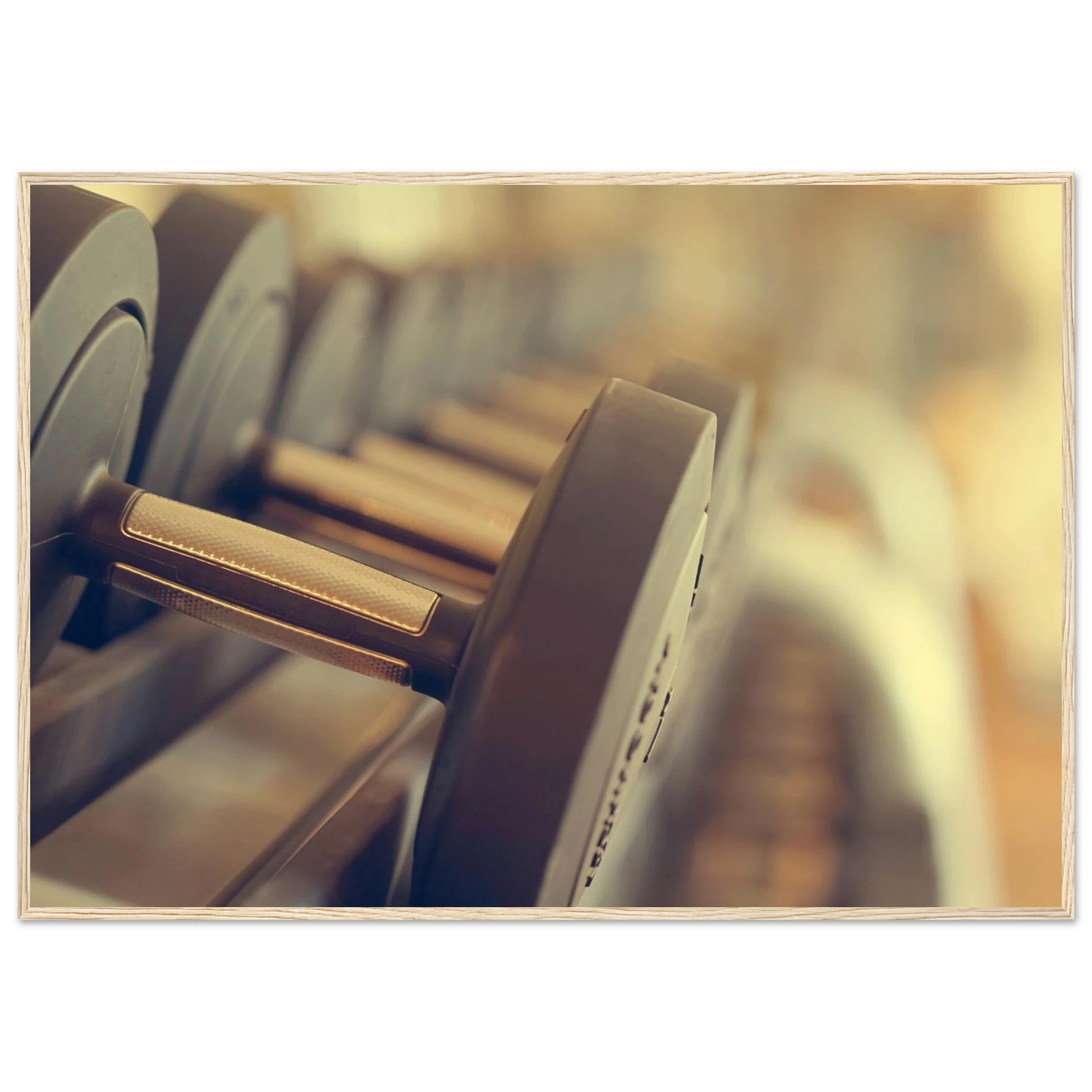 9886ece4-6dfa-4ee9-81a6-efd12c2ab616