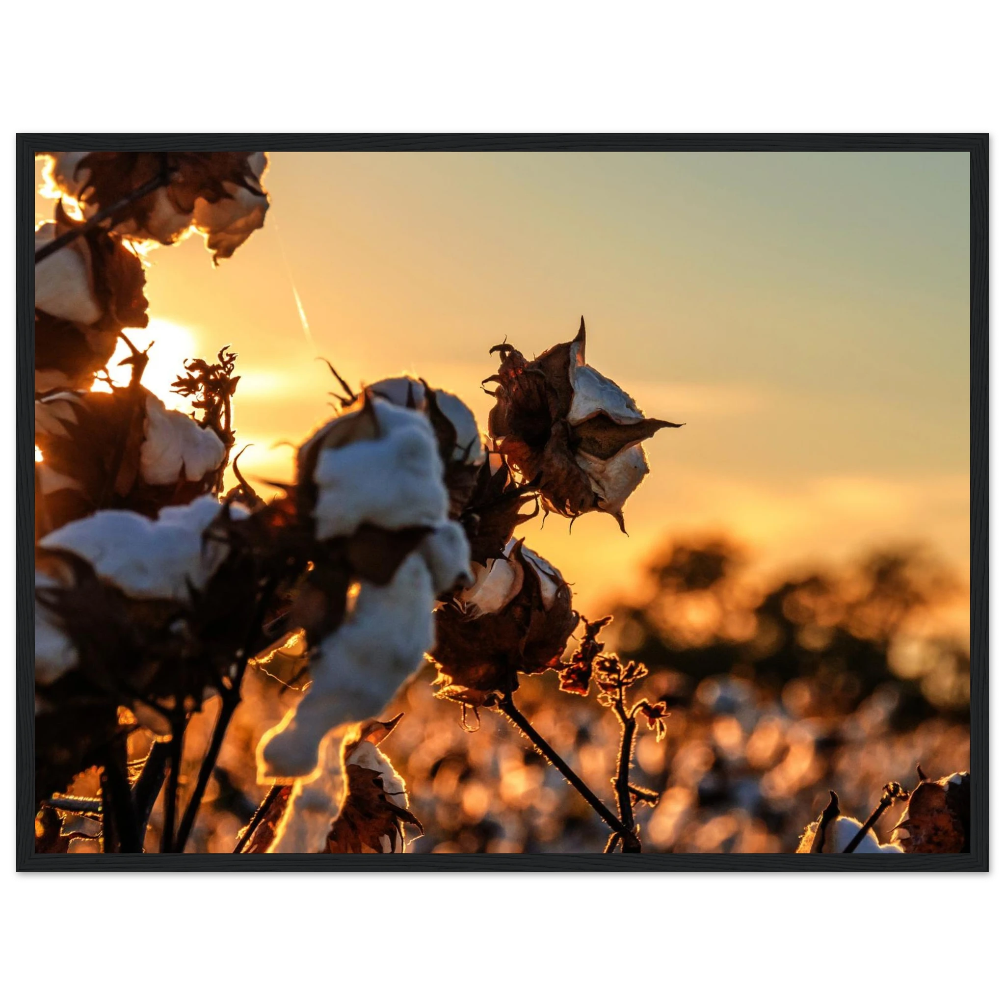 98a7aa75-37f2-4721-89ec-c6e8a16cca25