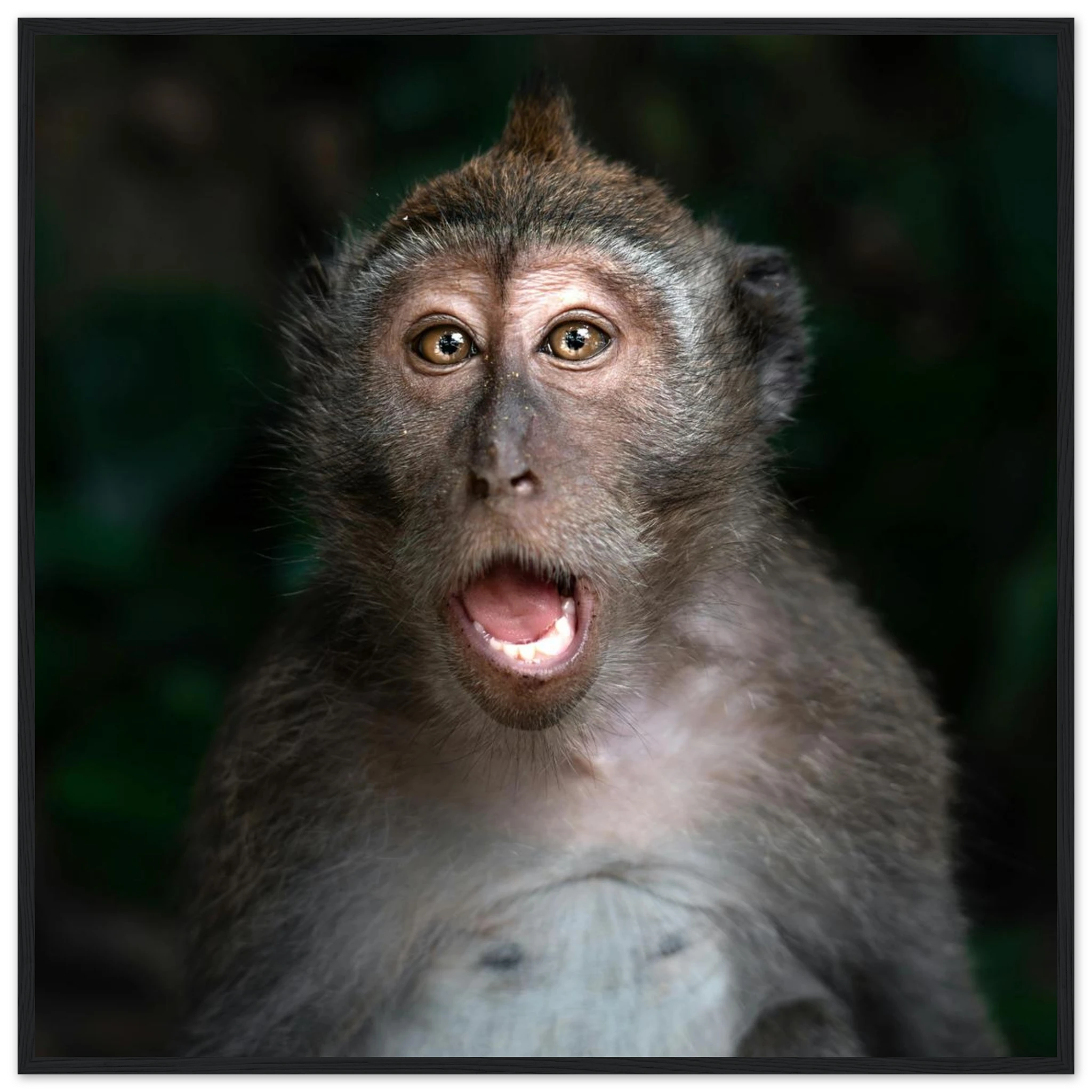 98b44bb8-ab7c-4384-9cda-50c4a5fae2a4