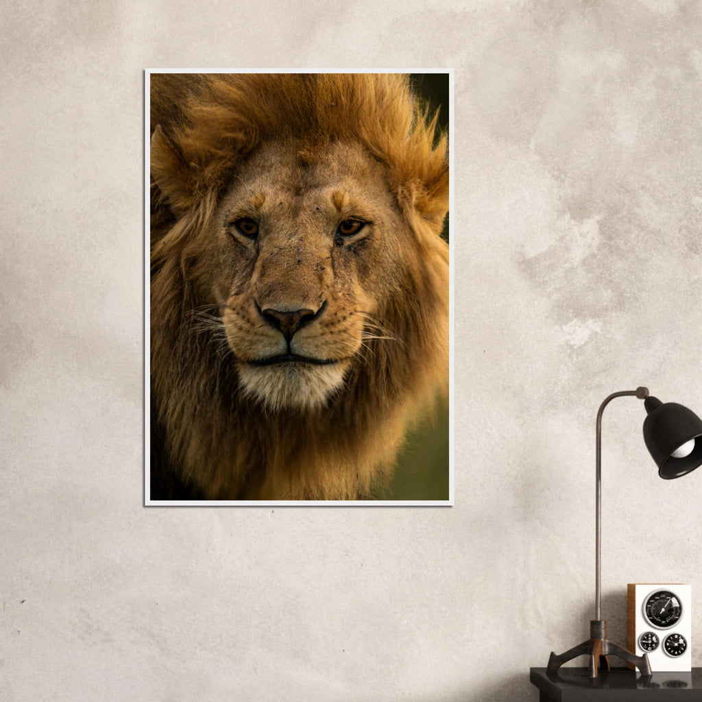 98bb3fde-12dc-4d98-be8d-664744294b38