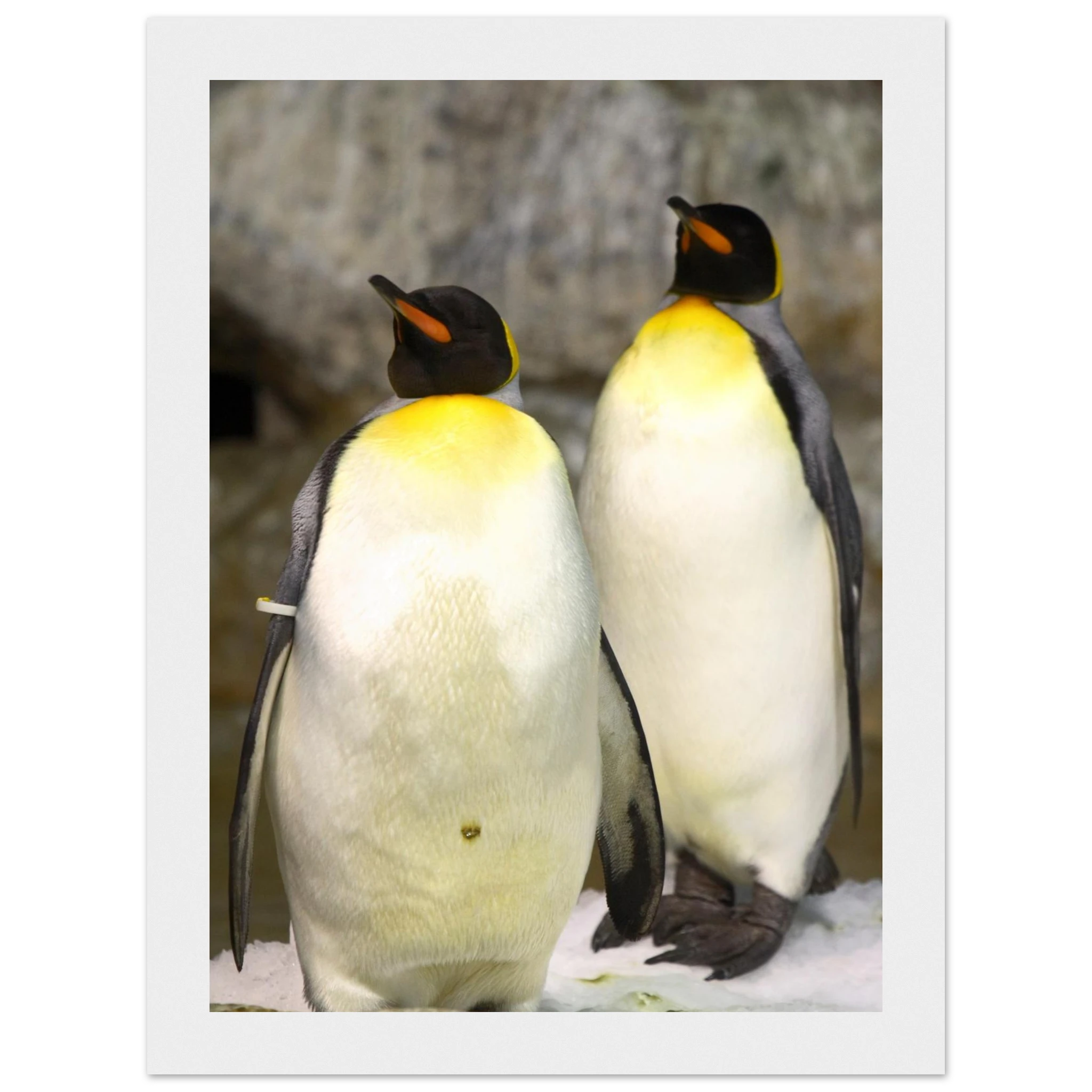 98c8471f-8c59-434d-b06b-30195bf5e174