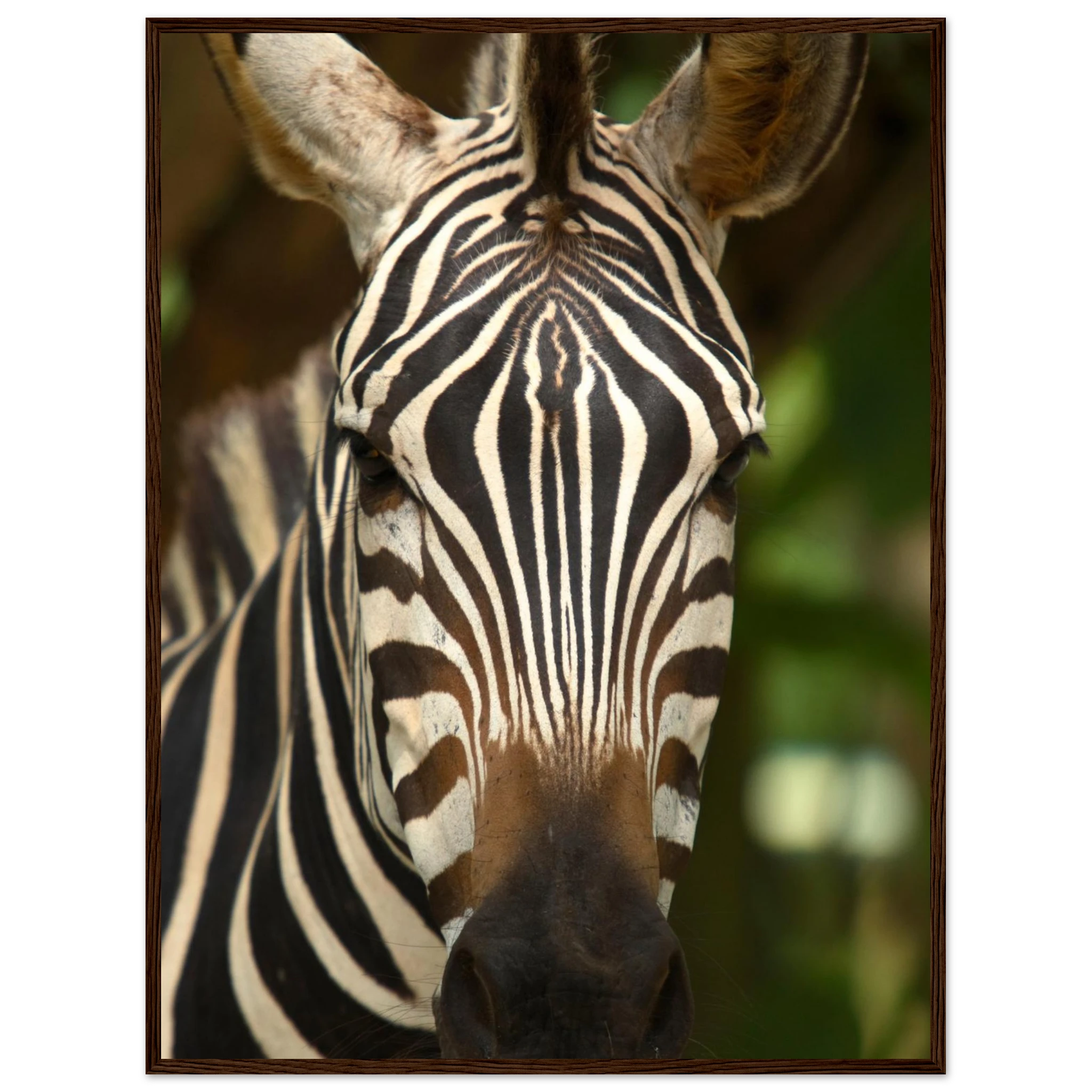 98c85bc6-d397-429b-8d33-01f578bace89