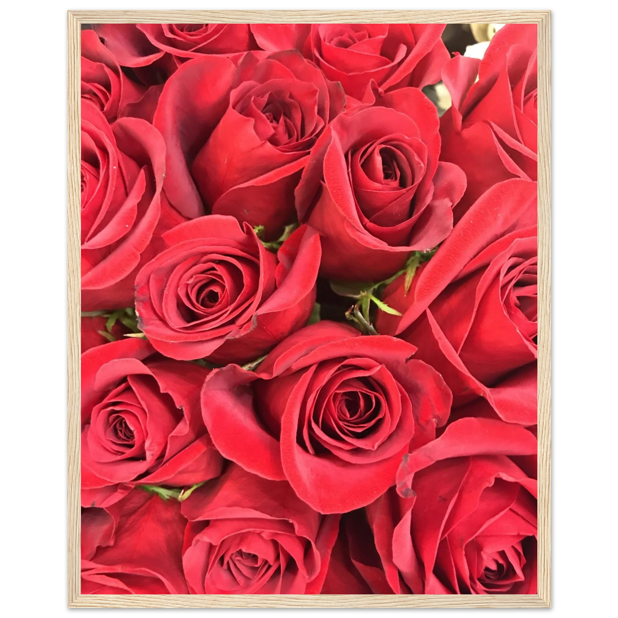 98e22d53-7943-4348-b9c3-37141f83c0d1