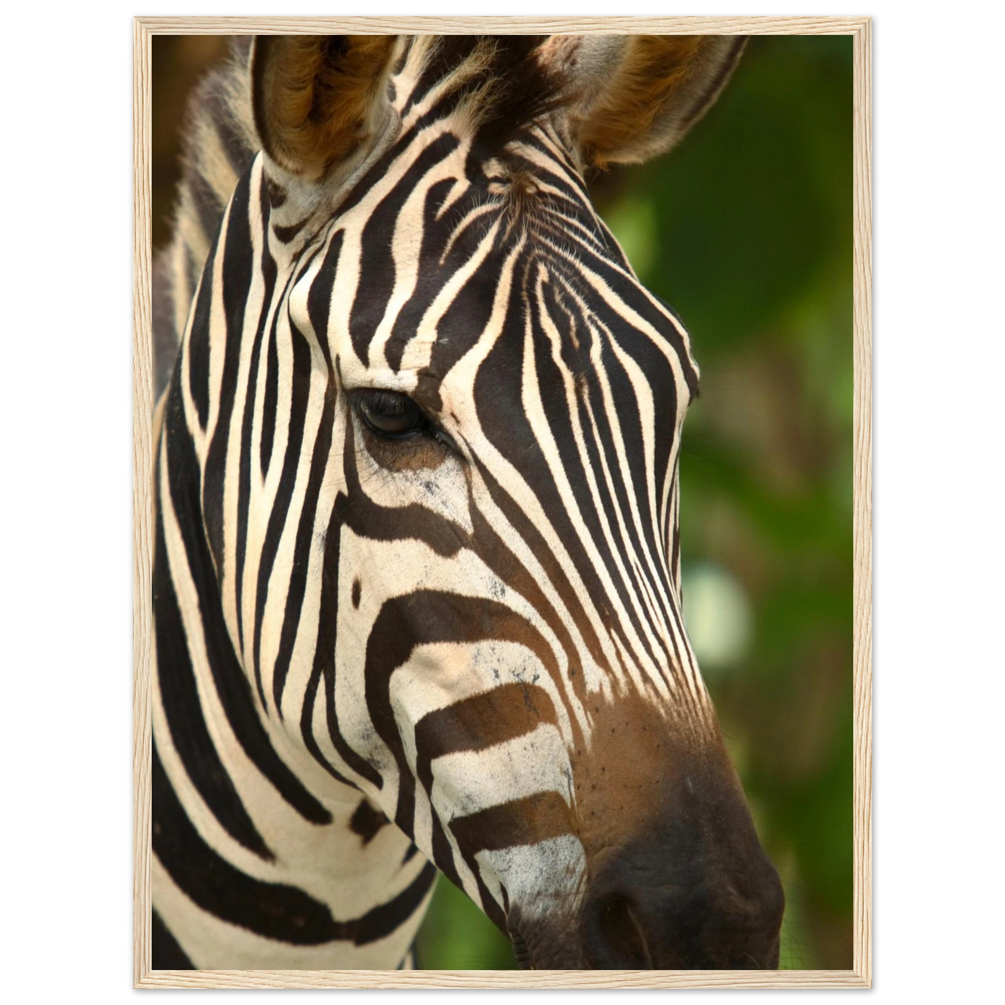 98e4a711-feda-4008-adba-907ca751974e