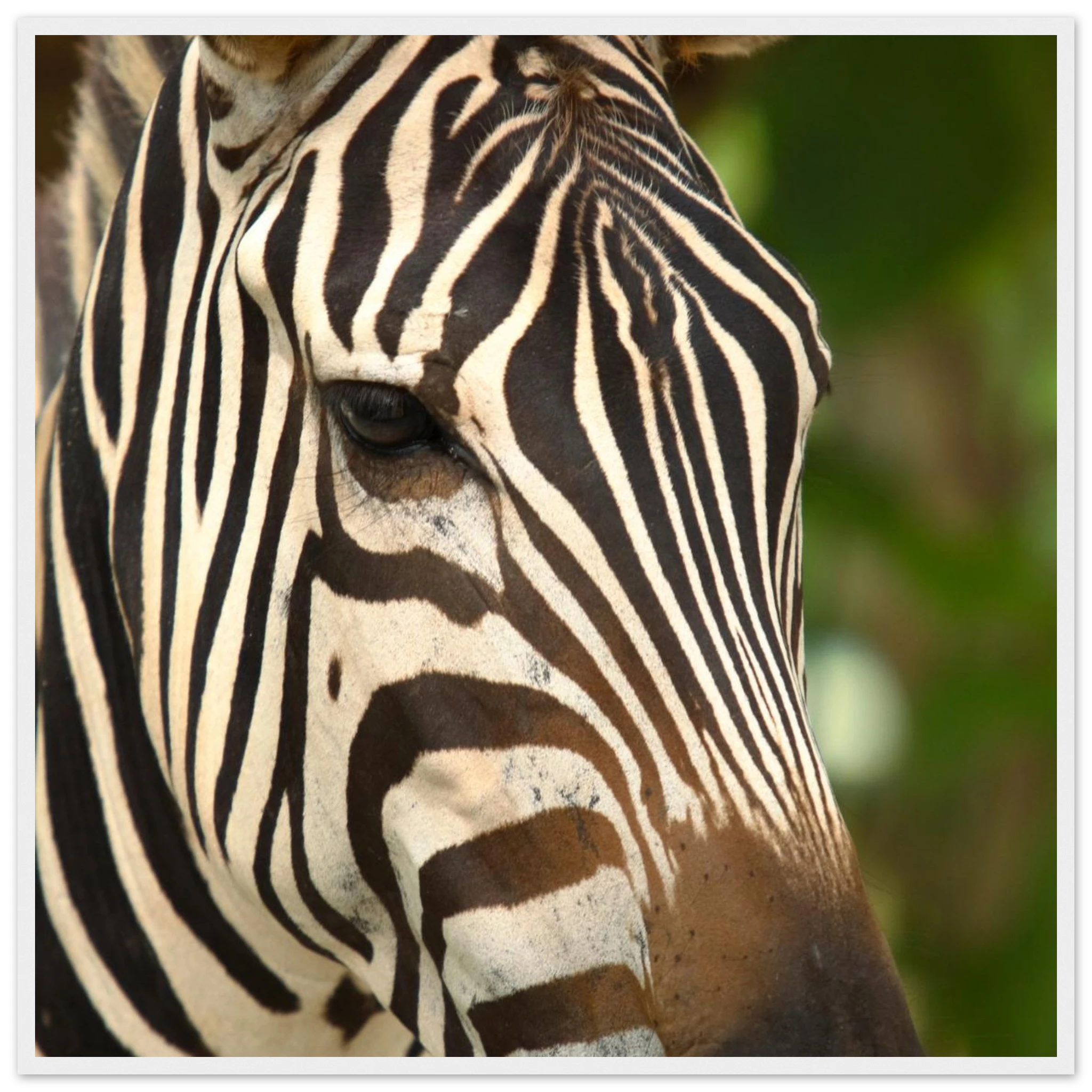 99085ce8-5a05-4cc3-b431-deae39750bd5