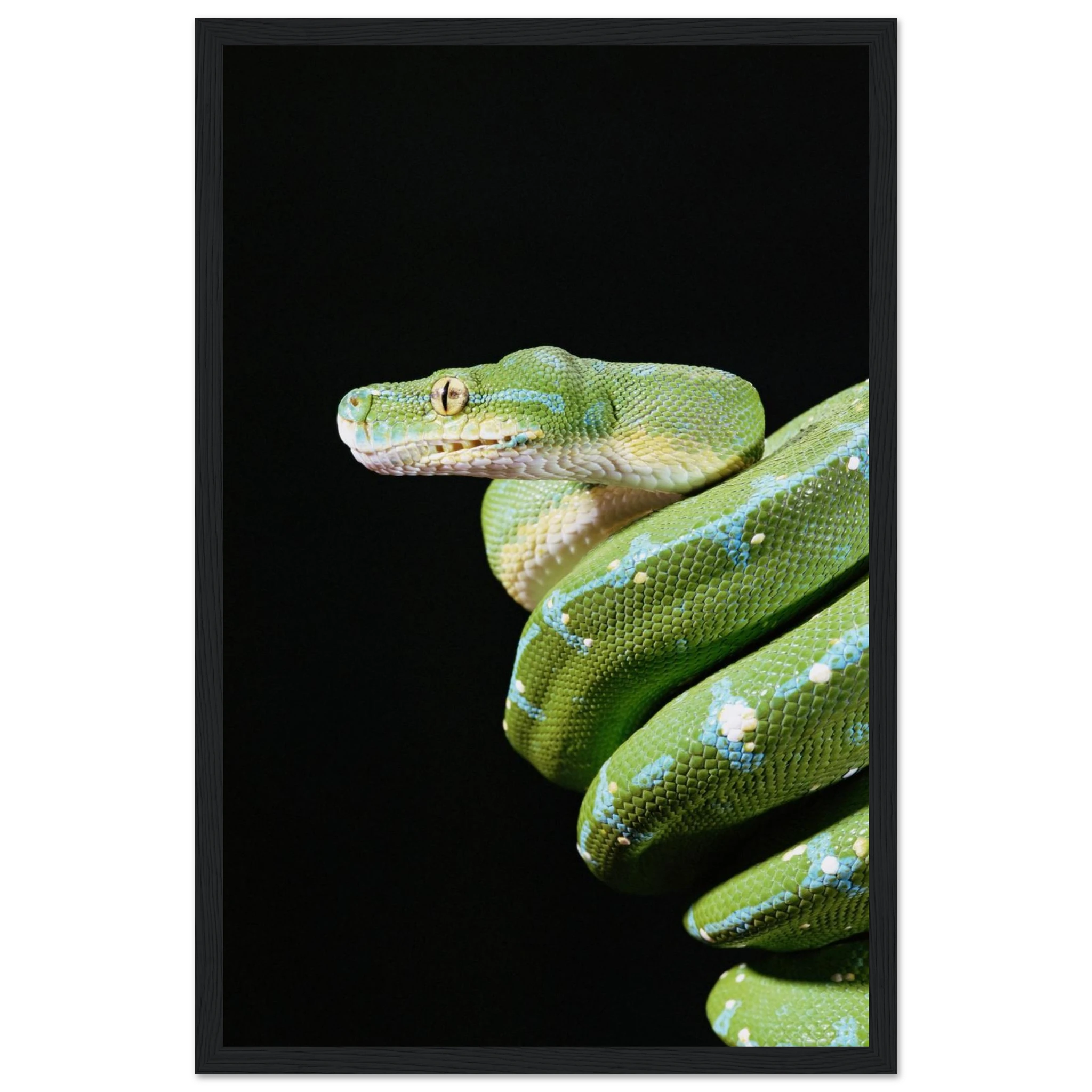 99298f0d-9bb8-49a8-b4c8-afe33023e57e