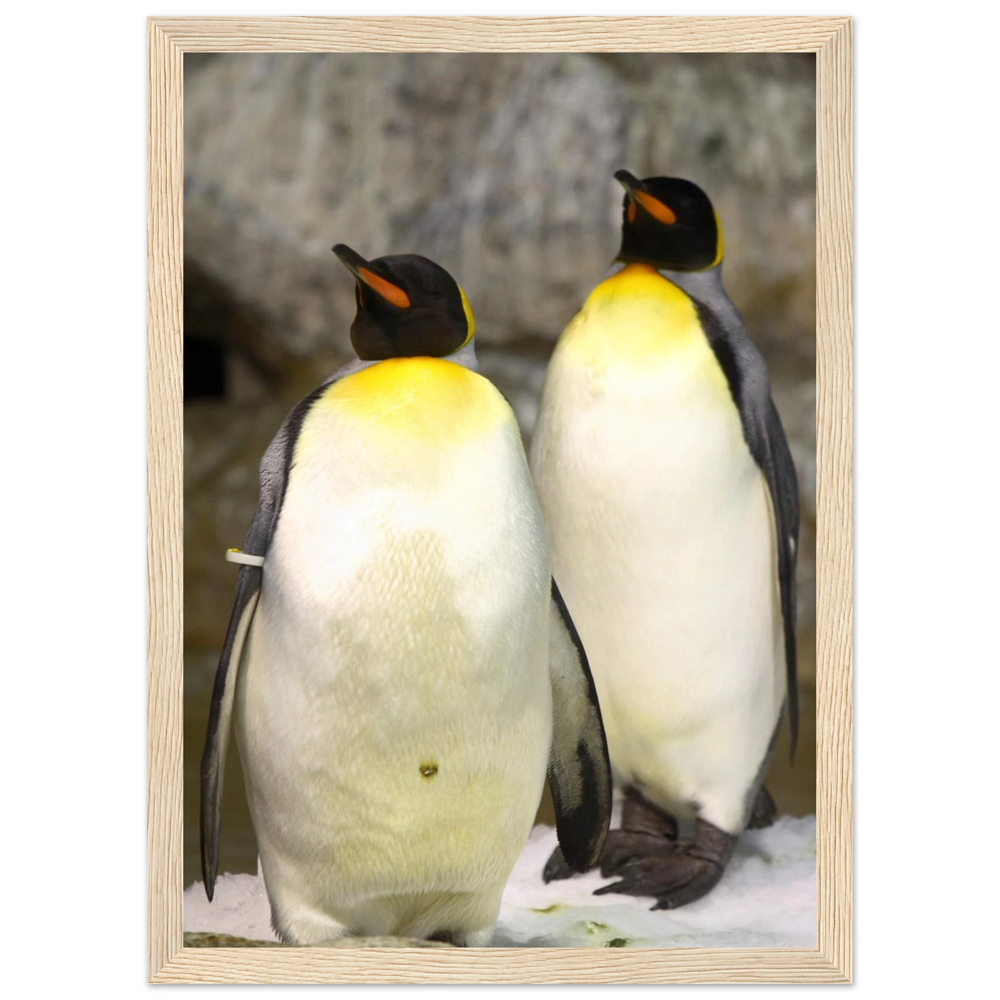 993a12fb-b0bb-4723-8005-e1b83308a2dc