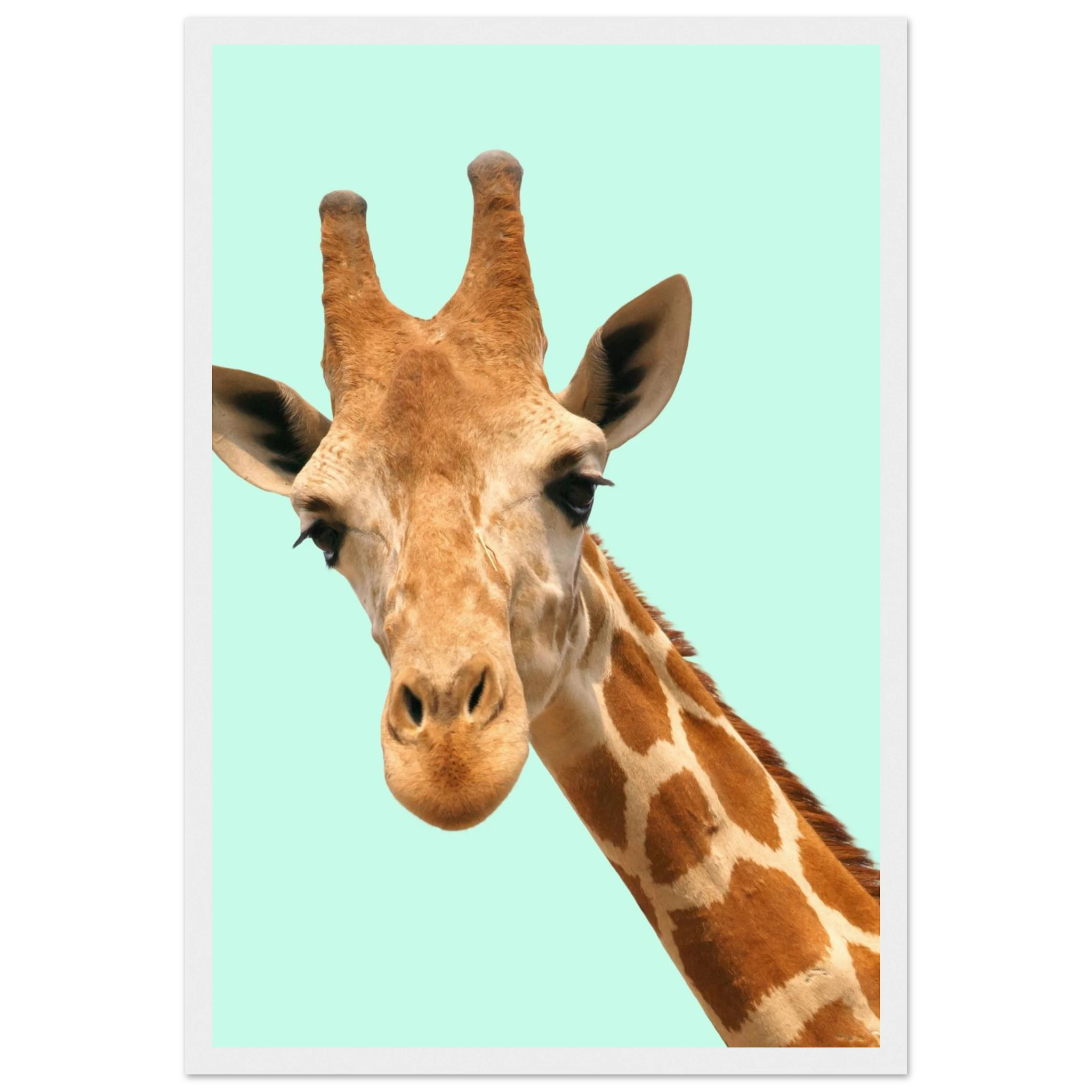 9956dec0-673a-4c0c-9d9d-af4719a9ee3f