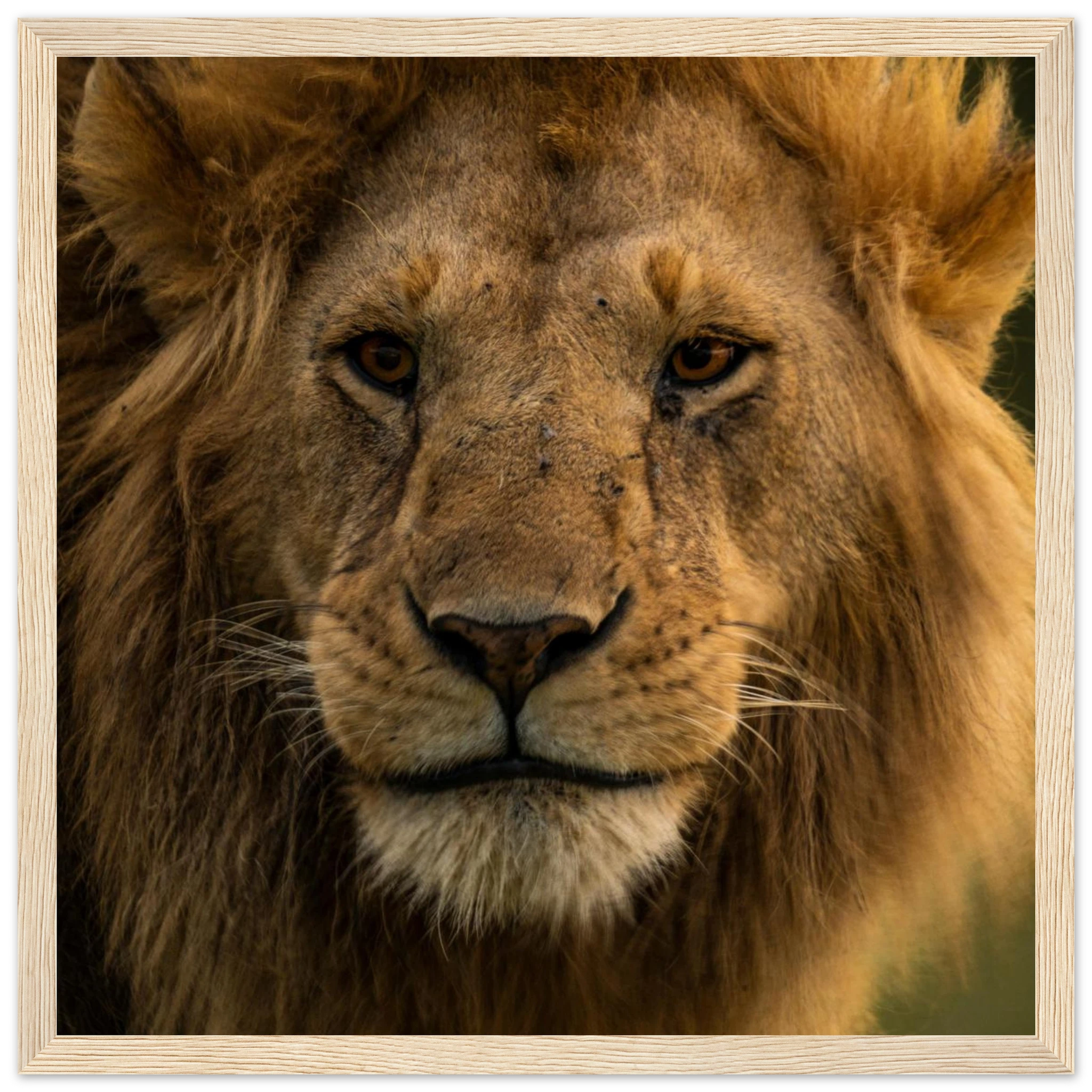 995a00b9-851a-4fde-a7f2-97c5e4d4009a