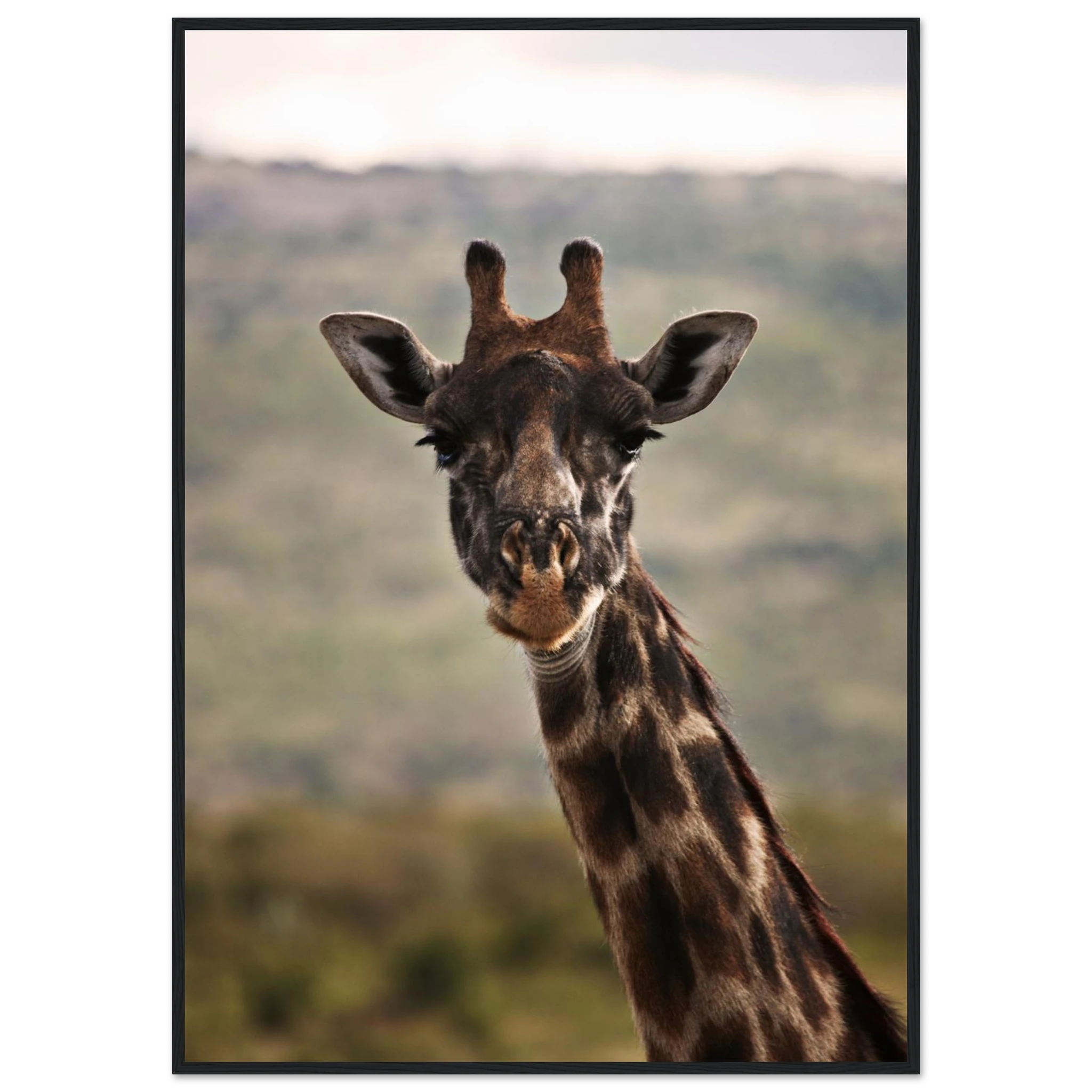 9963cf8f-78cb-4a47-95be-ebe436609f11