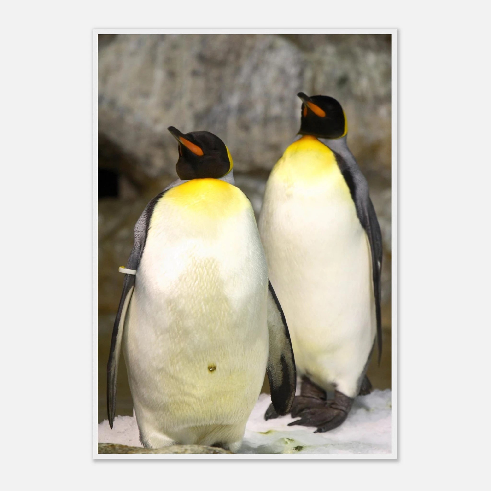 9990299e-17ab-44a3-bade-f50271713ae0