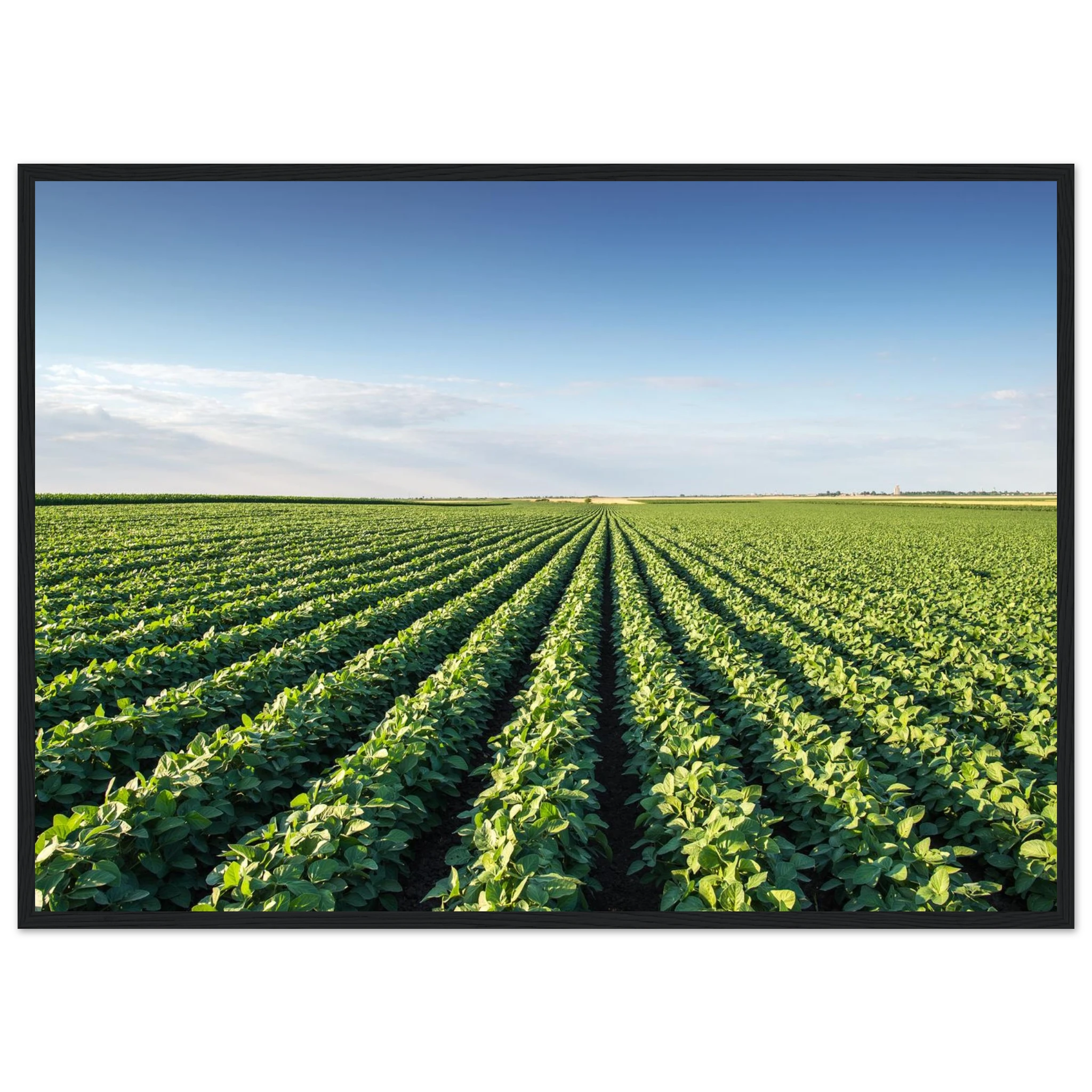 99cfad09-5f31-4dd1-86bc-91d2701d6bc4