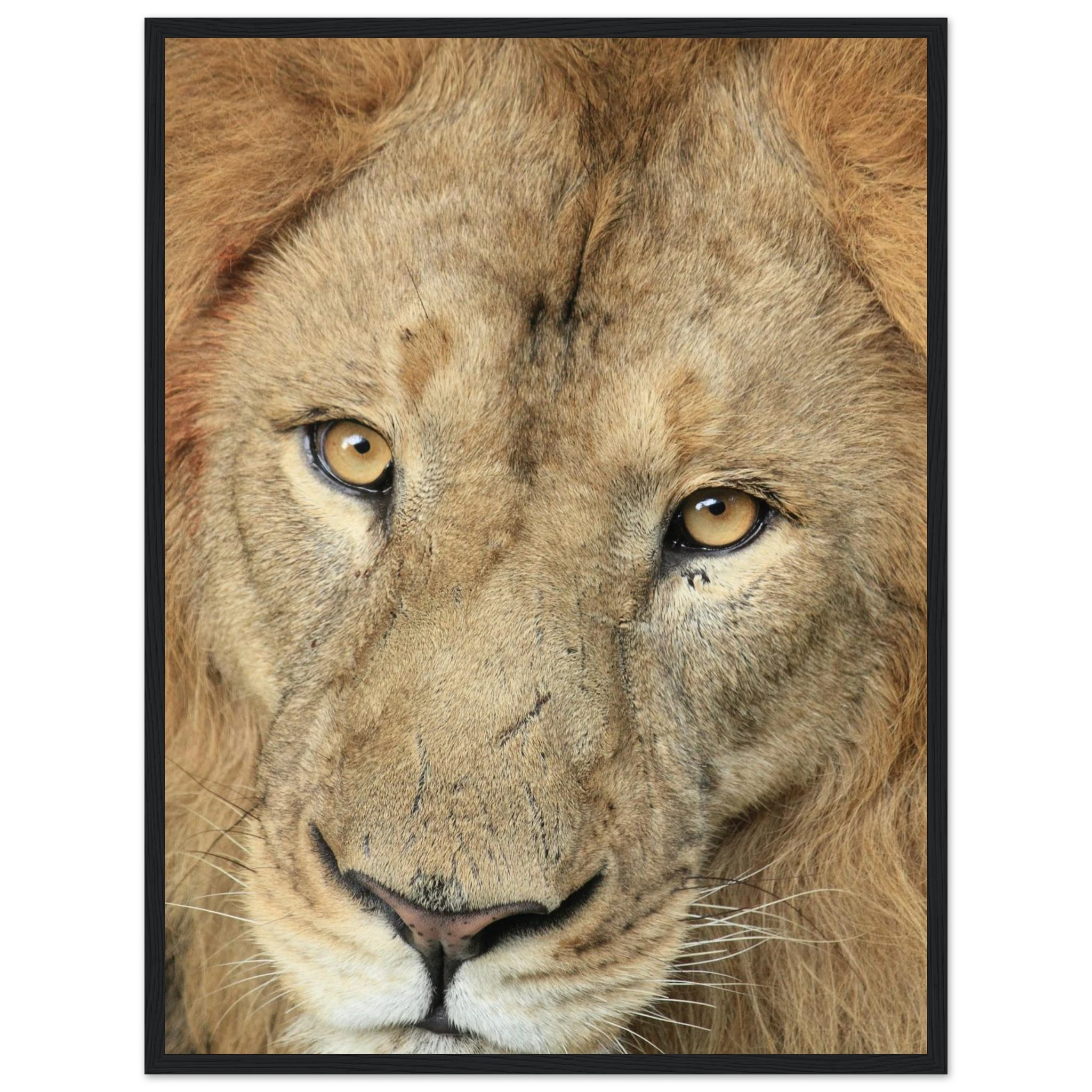 99f9c0cd-2d67-43c9-a3e5-3313838b5016