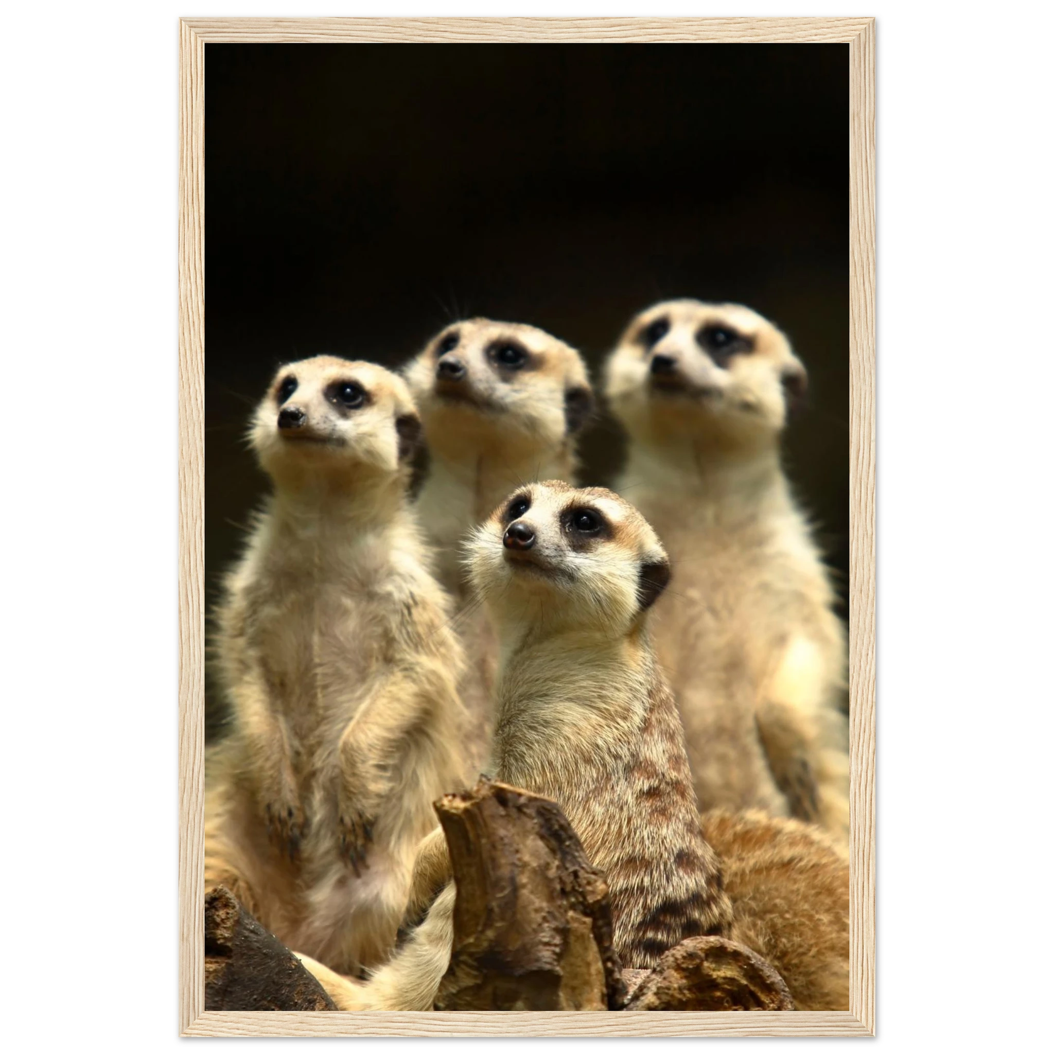 9a0b8dde-bcdd-4389-b91c-52577b44f4e7