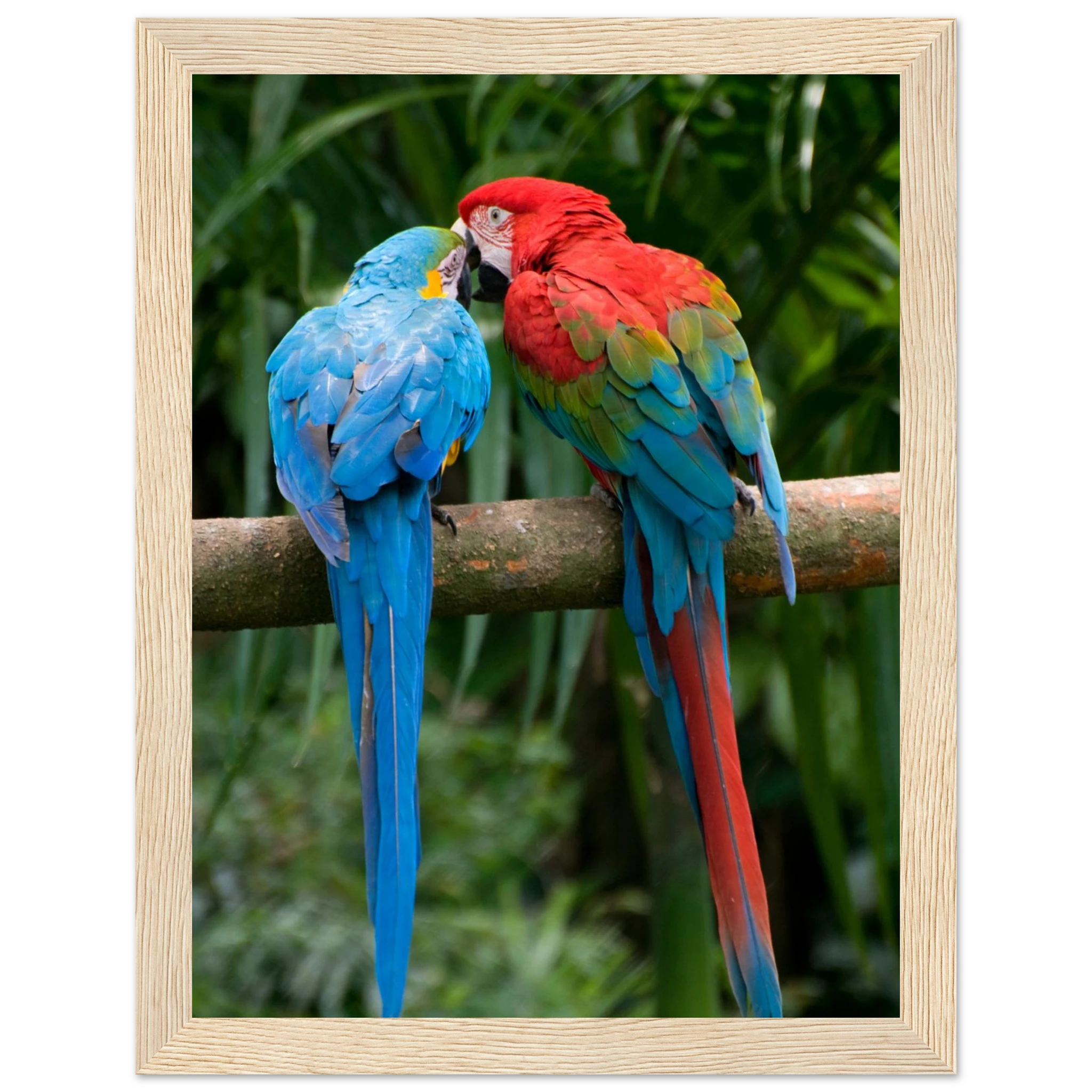 9a194b6d-9b72-4e2f-90c1-03c5c14075fa