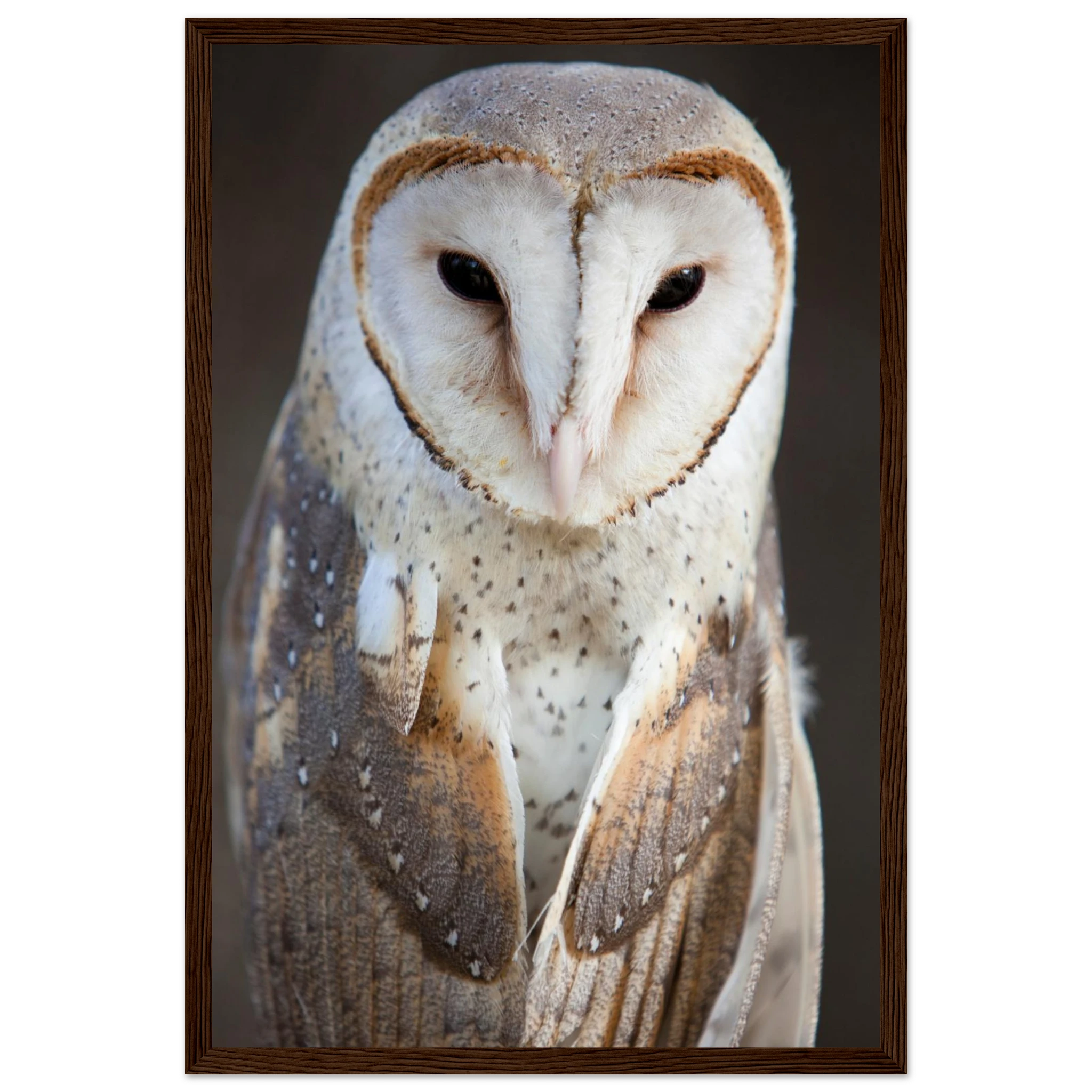 9a349a0d-295b-4125-b000-dc5c0780de64