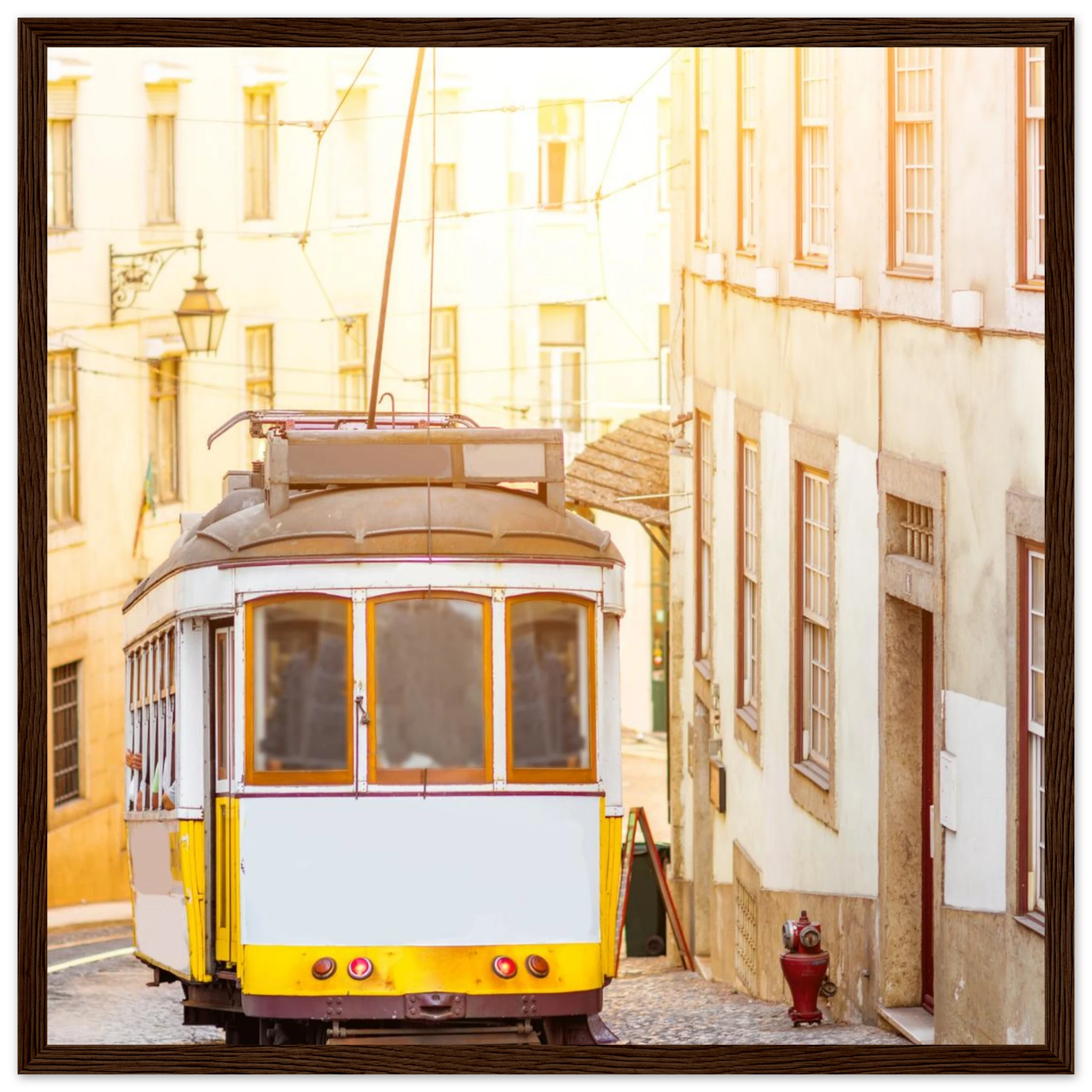 9a4934fb-0d39-45f3-b4e8-d772b30b1d16