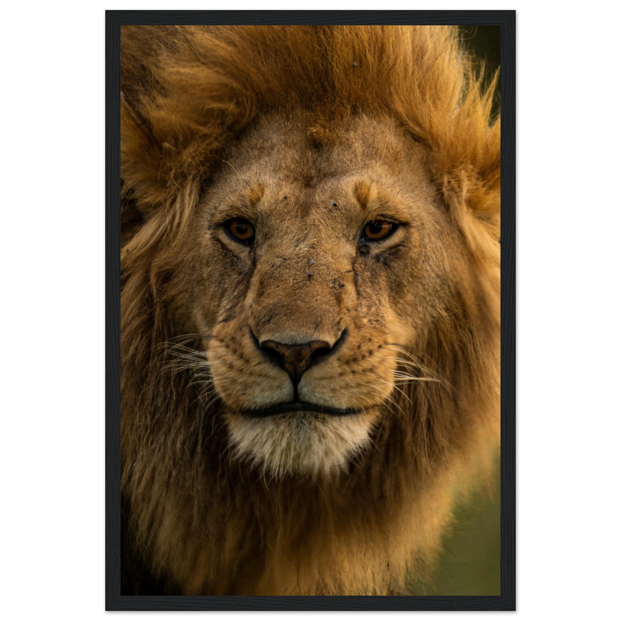 9a52e17d-fd34-4627-b870-e680fe588ac3