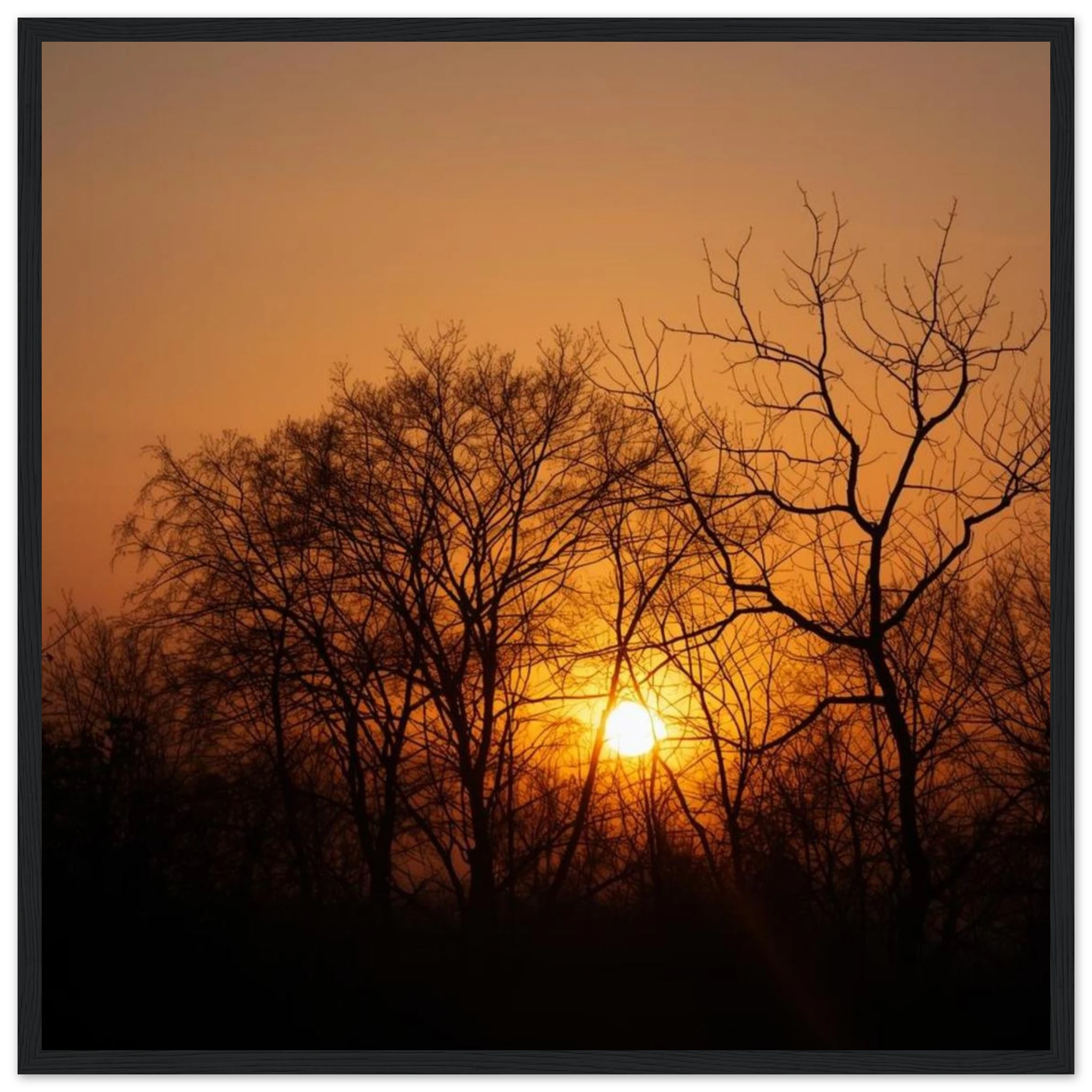 9a55edfd-38f7-4832-b1dc-a8b234d85db1