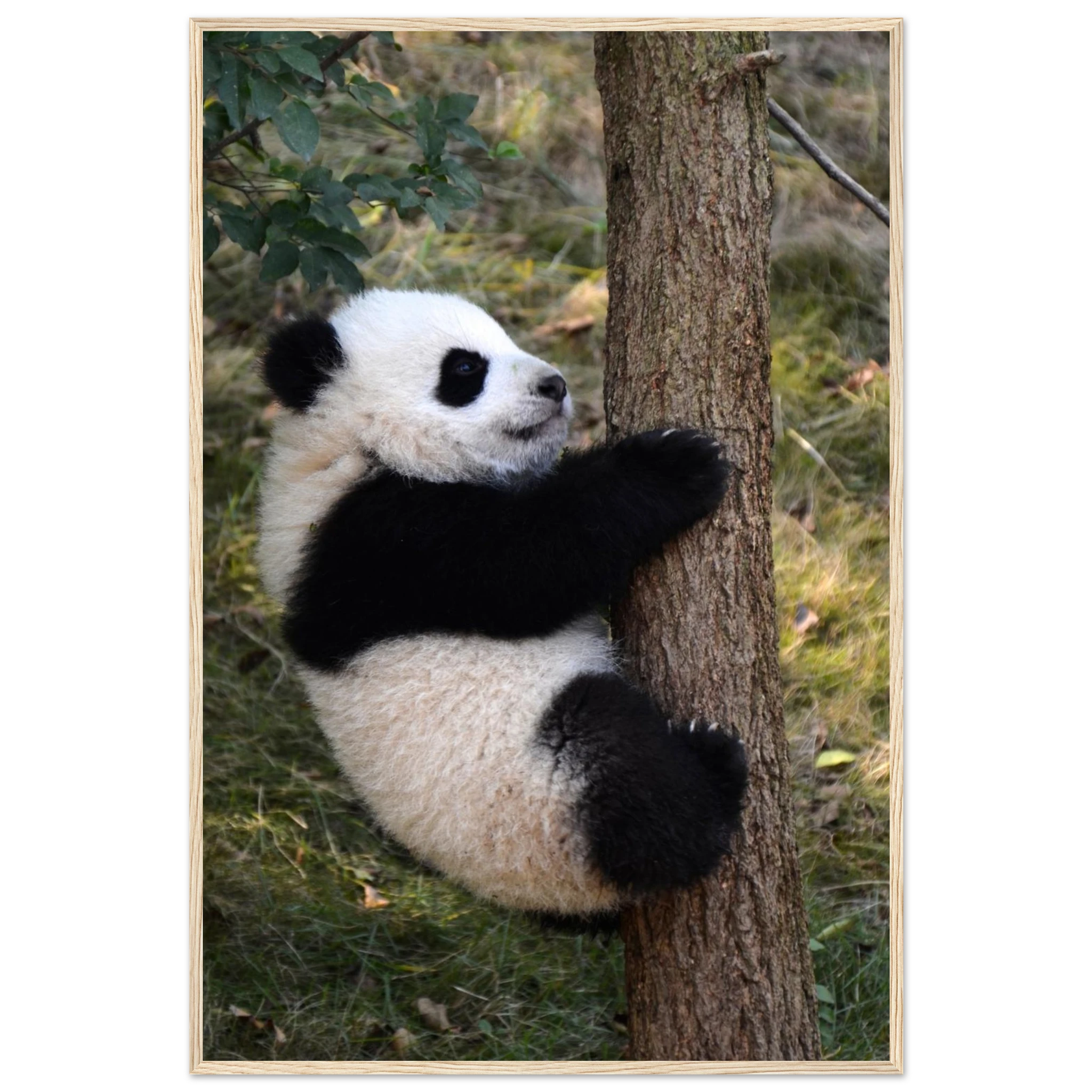 9a7af549-aeb8-41eb-b75d-ef134d43a068