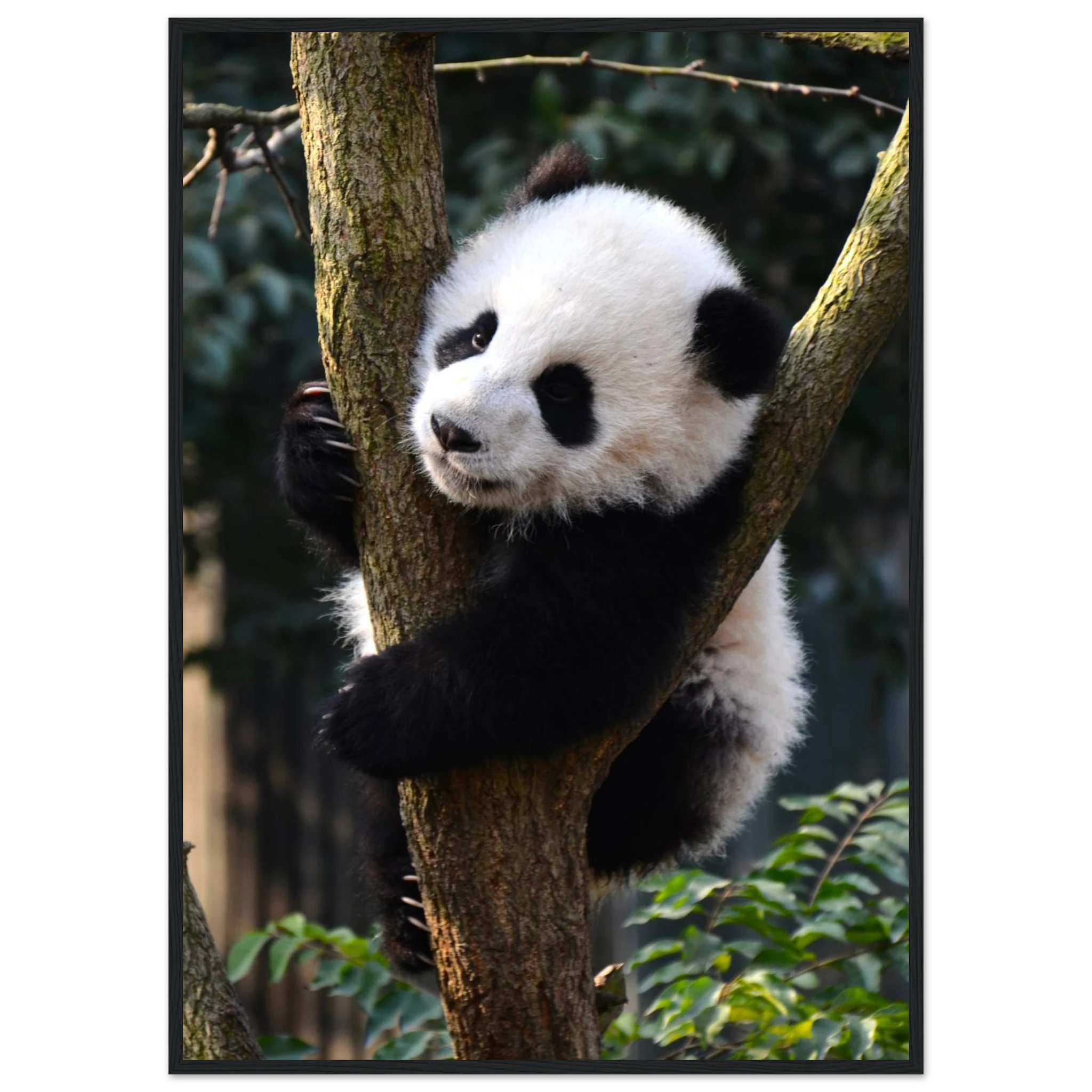 9a9faadd-c40b-4cf8-963c-7ea21b523348