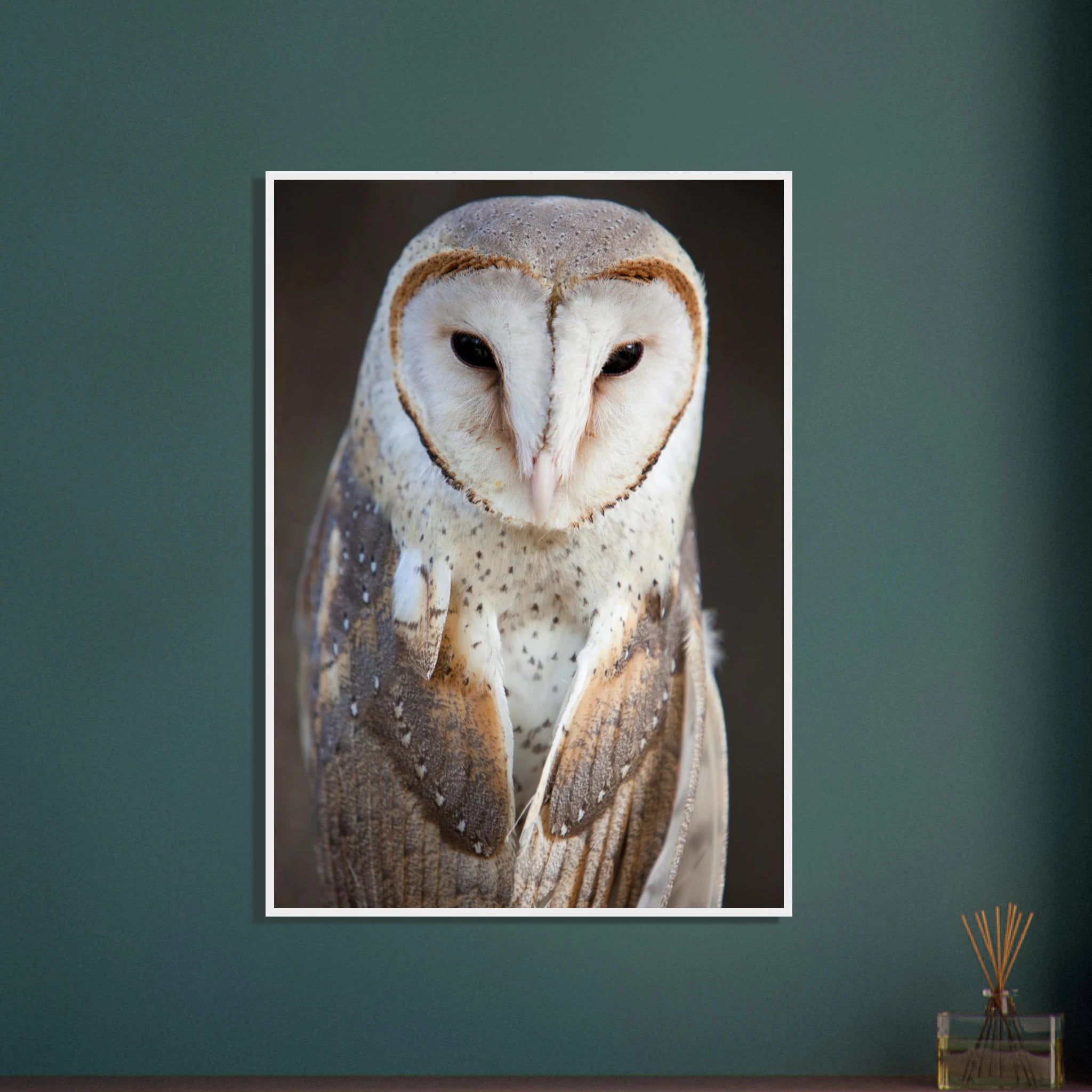 9ab736d1-ef51-463f-92c3-5b2bcb5af1b6