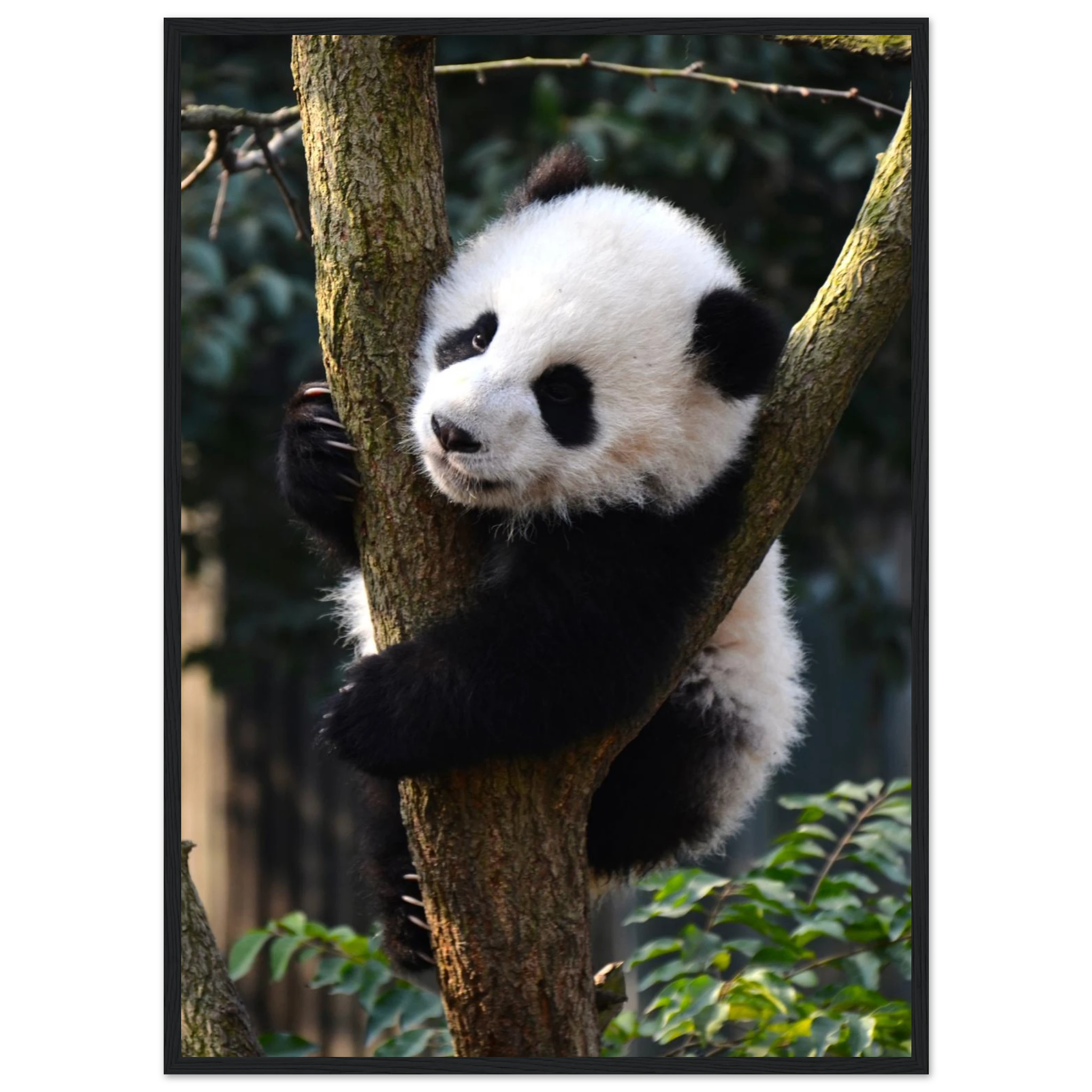 9acabb34-d8ab-44fd-b88d-dbf6d55ca48e