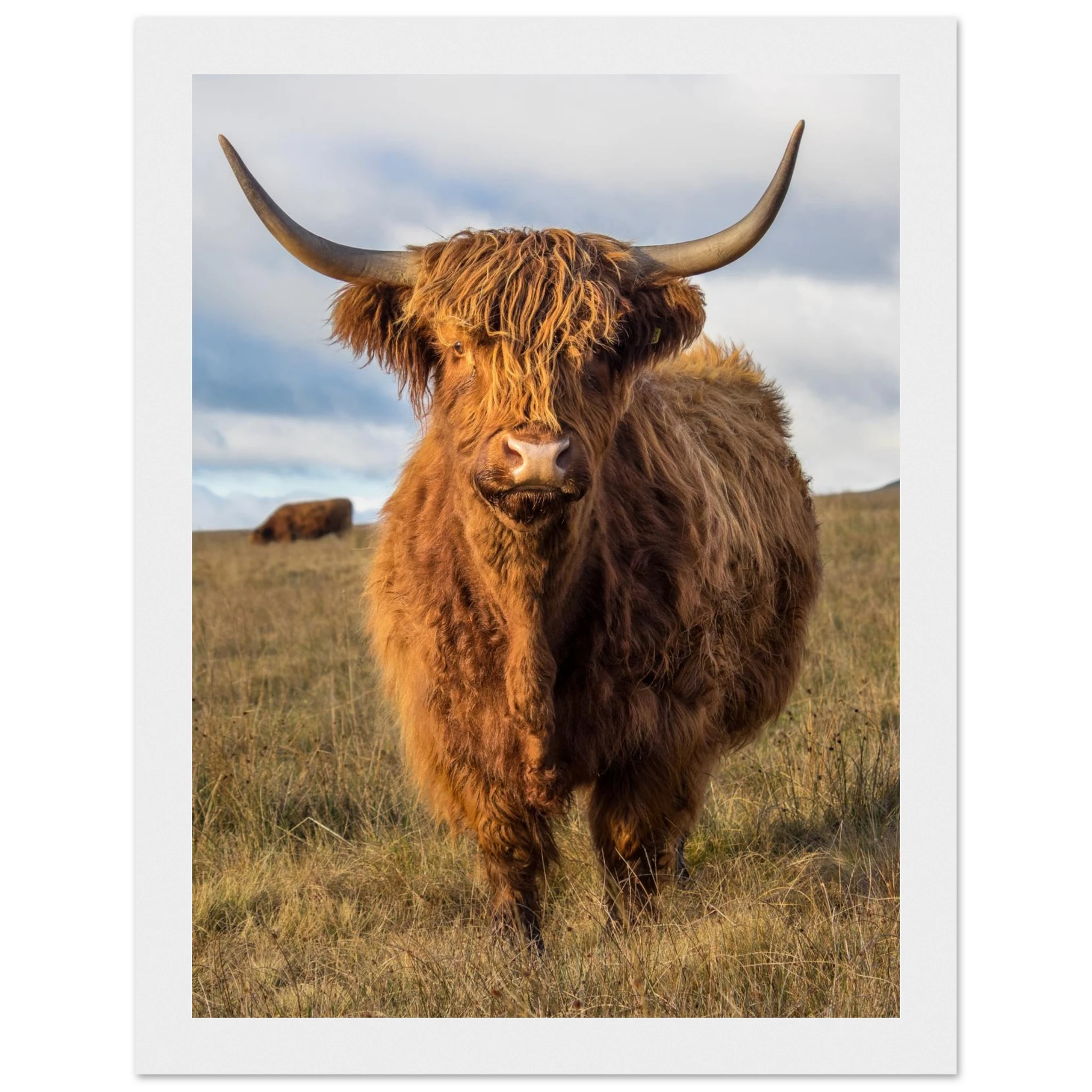 9ae7b9f2-1243-4f1d-9592-0fcf063a116e