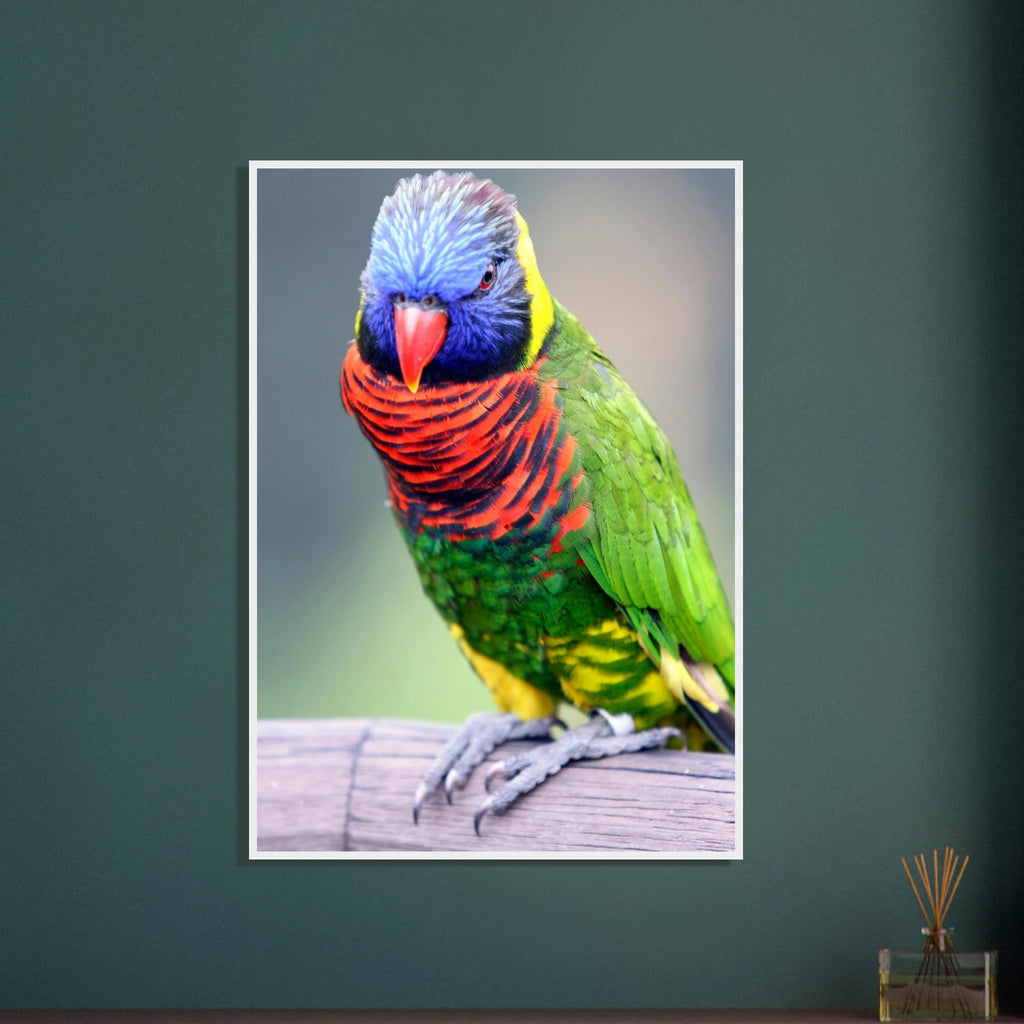 9aedaa85-f2b7-4004-9157-d68c79361d11