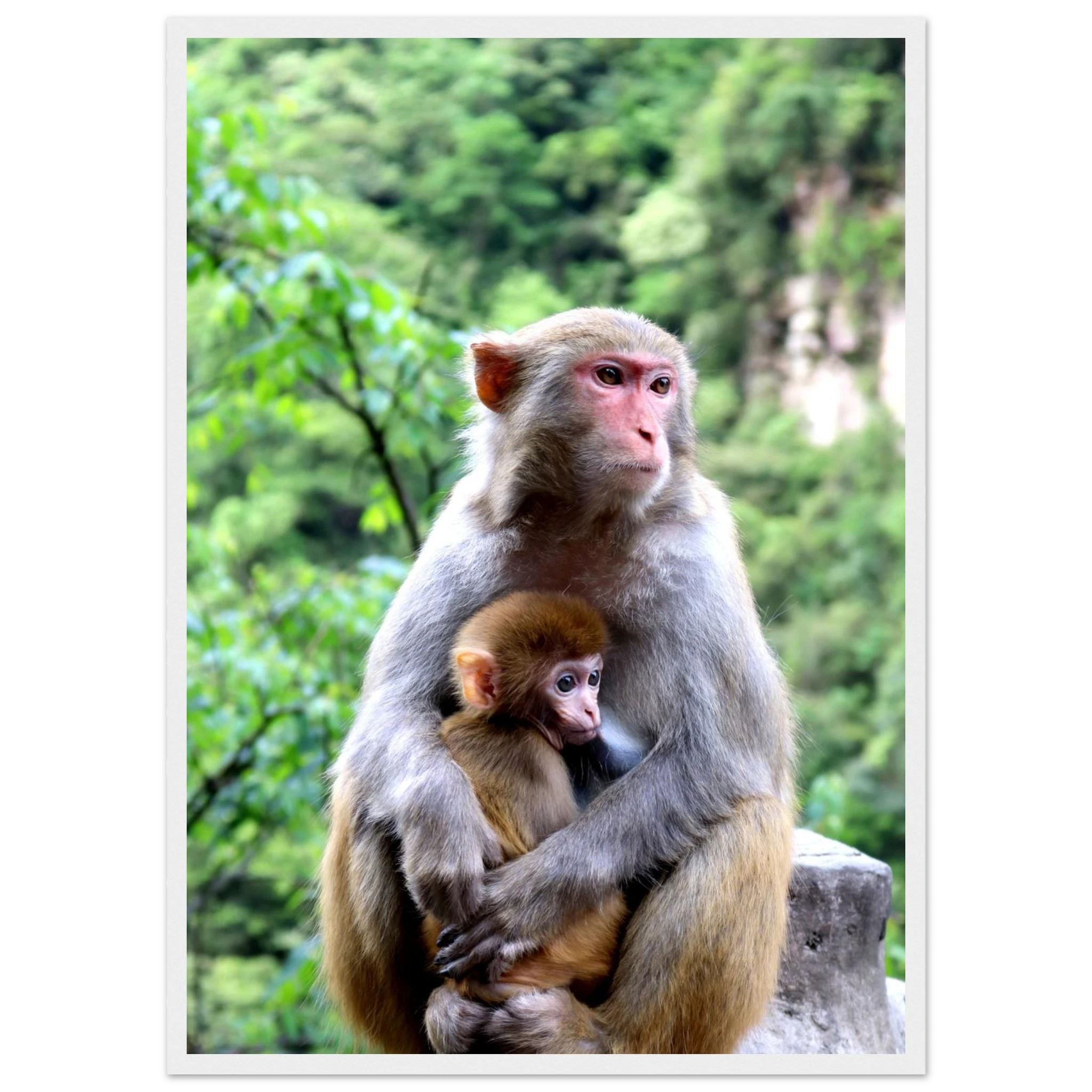 9aff456c-a0e4-4290-895b-0f7f05168af9