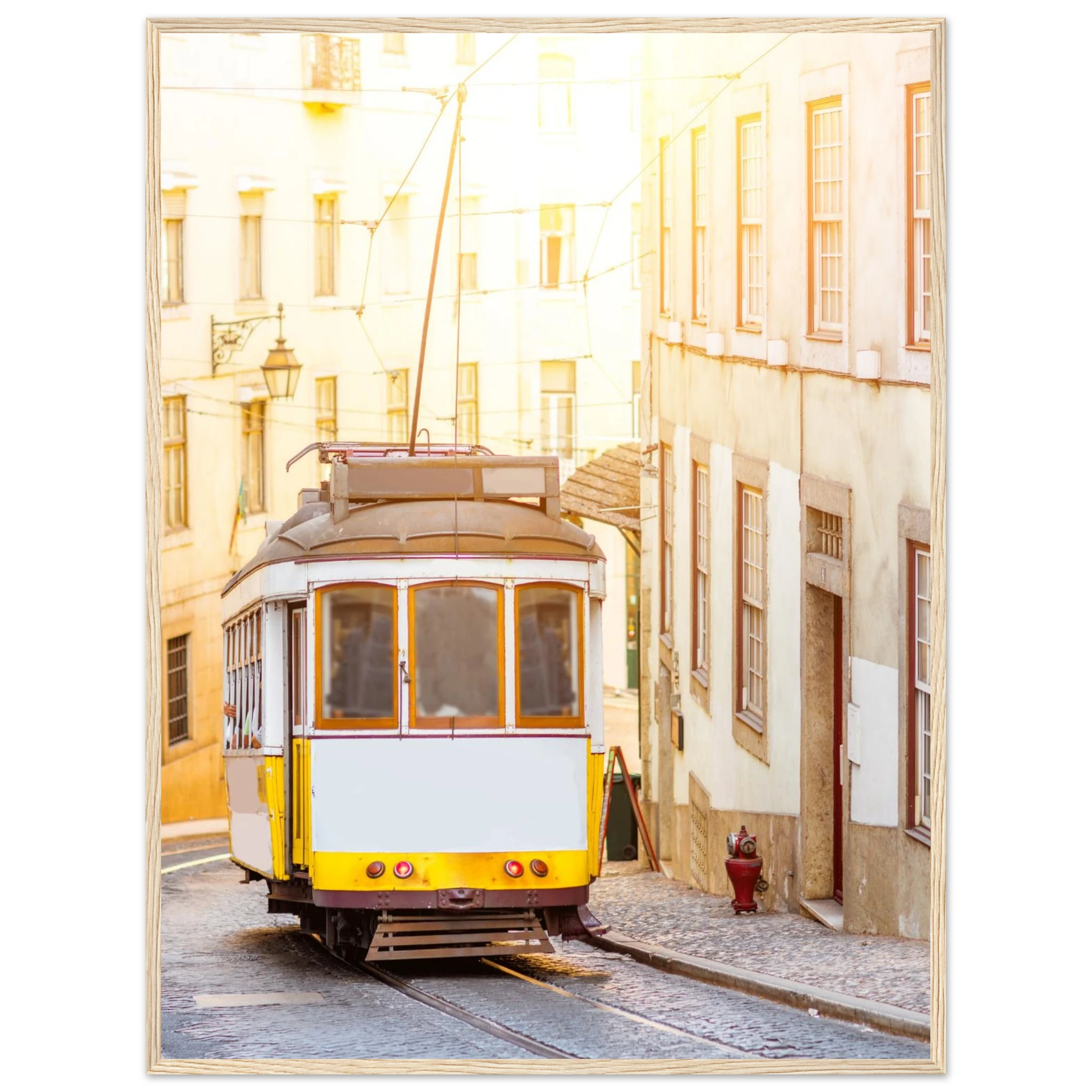 9b1681df-5c3d-4b95-bae1-019c83b4c71f