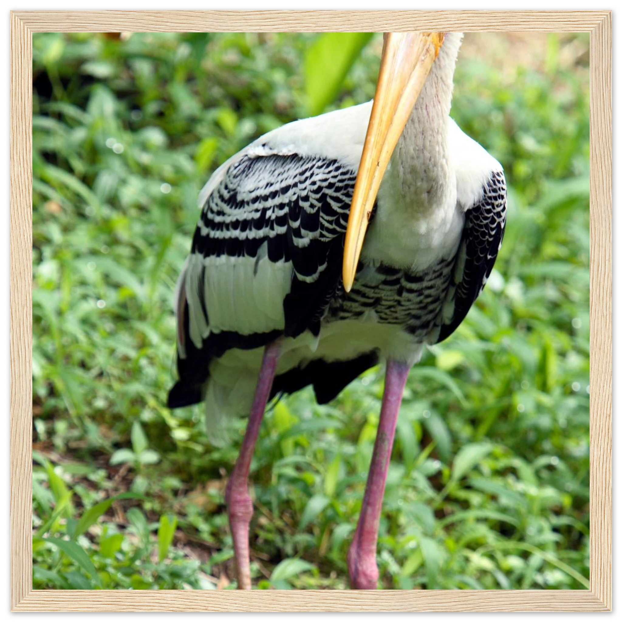 9b1eaa96-c75c-49f9-b153-3863522b2804