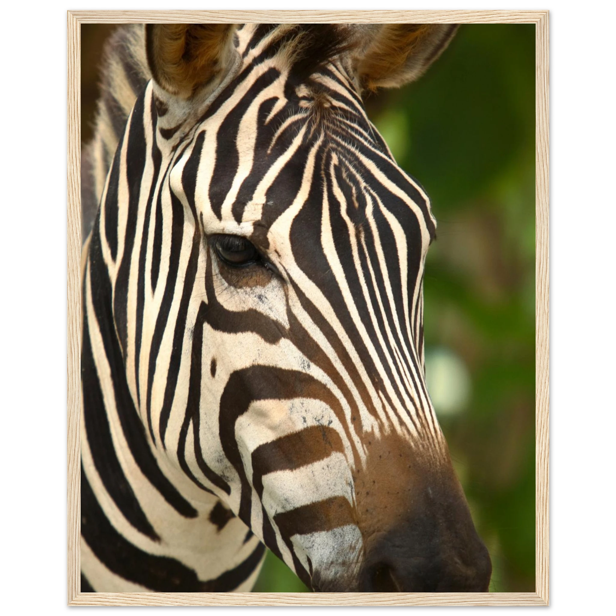 9b5508e3-743b-4368-a238-15f48adb357e