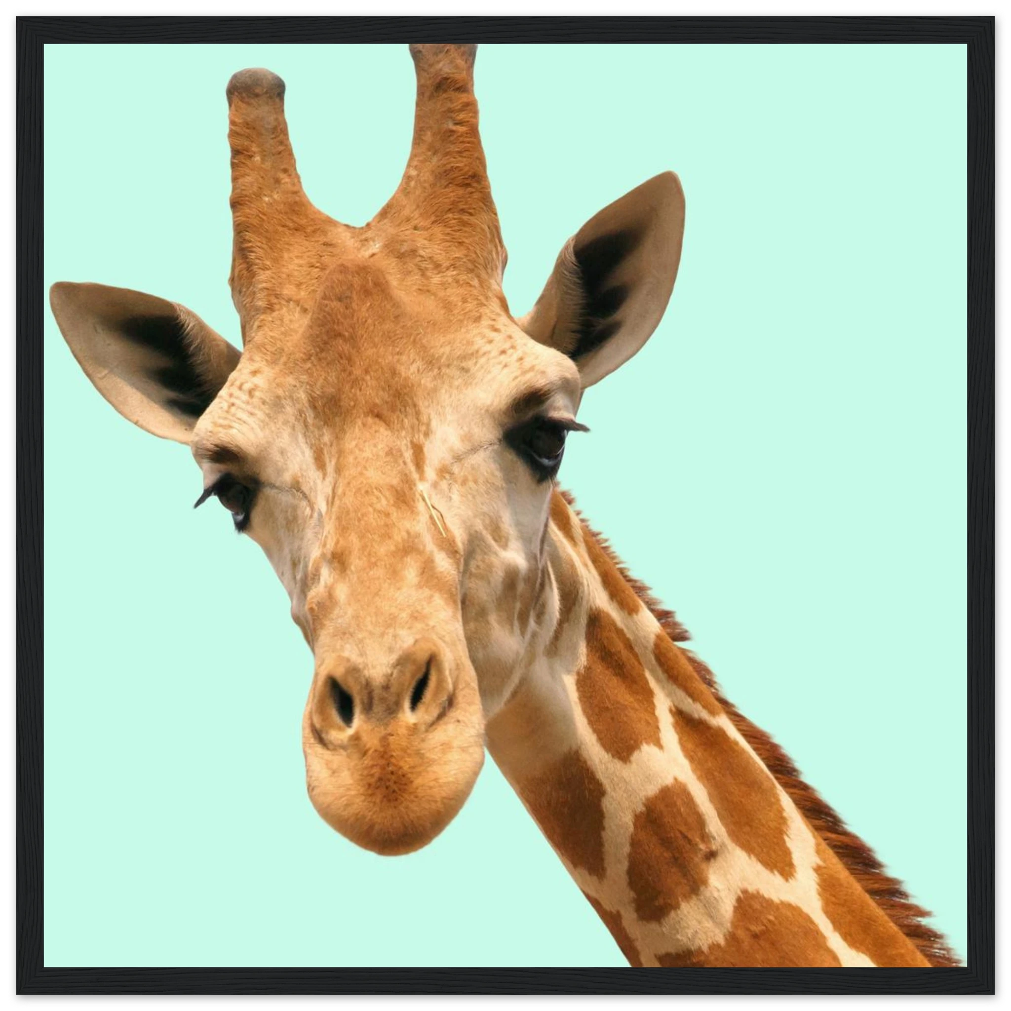 9b66d17a-a2df-4ec2-9b8a-c49241531047