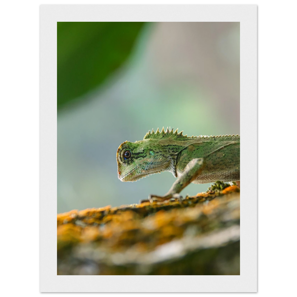 9b771c5f-b31f-407b-805e-ae218e137e5e