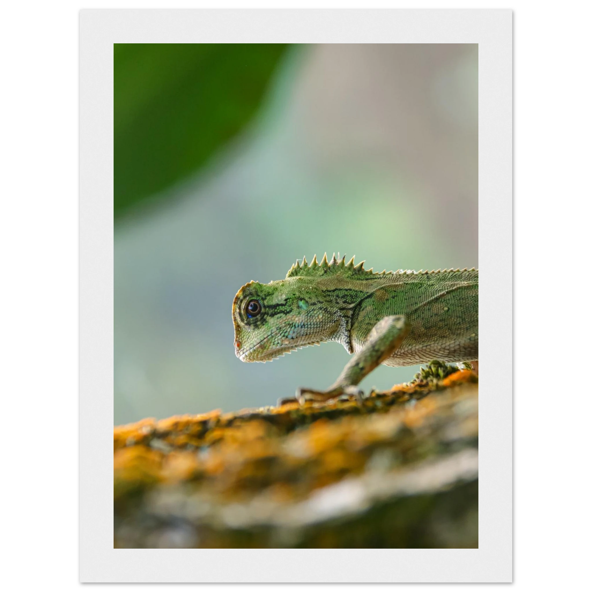 9b771c5f-b31f-407b-805e-ae218e137e5e