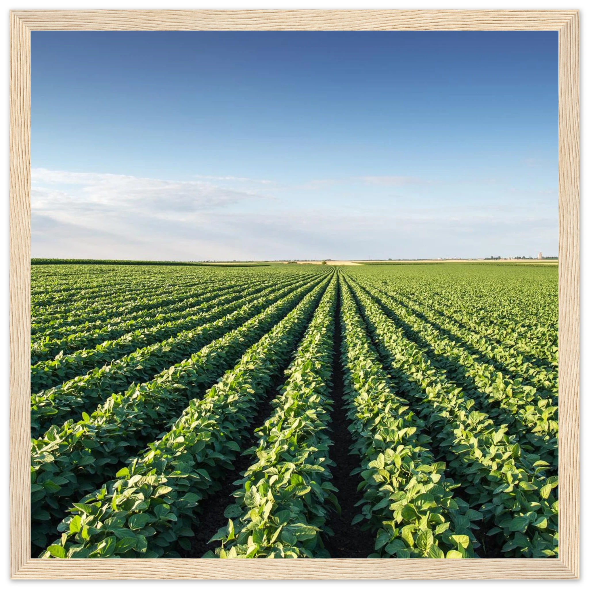 9b79ba8d-5f06-4098-a1ae-5f086b97a7b2